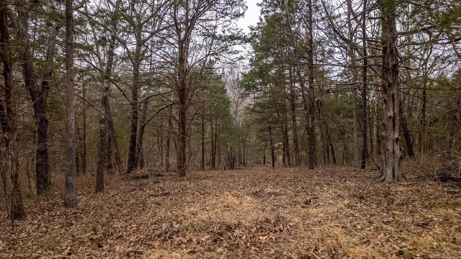 000 State Highway 142 West  Thayer, MO