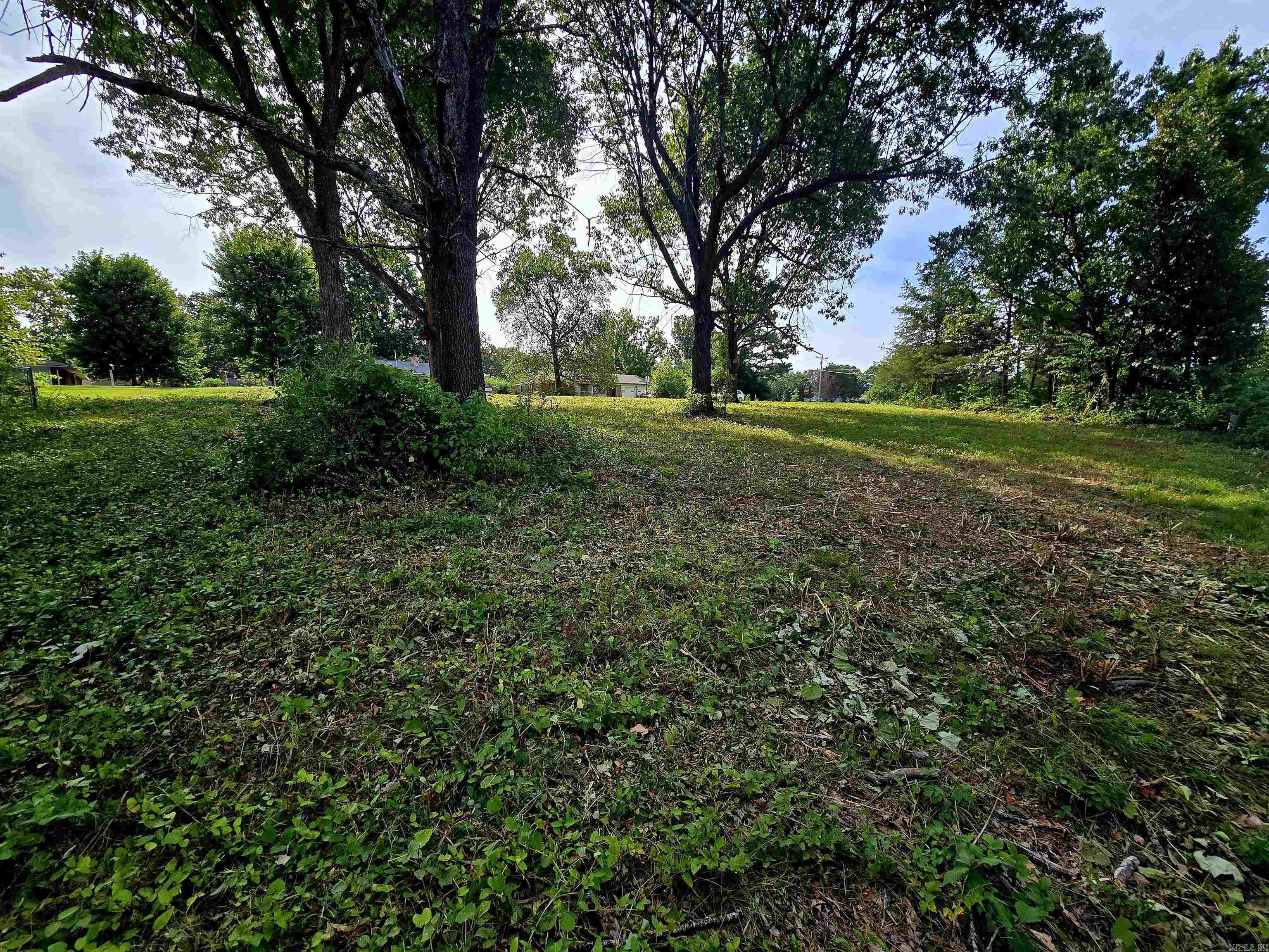 Lot 35 Debra Ann  Mountain Home, AR