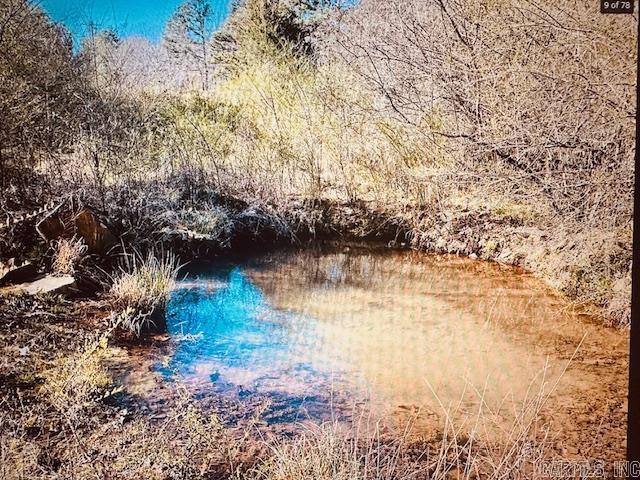 560 N Floral  Concord, AR