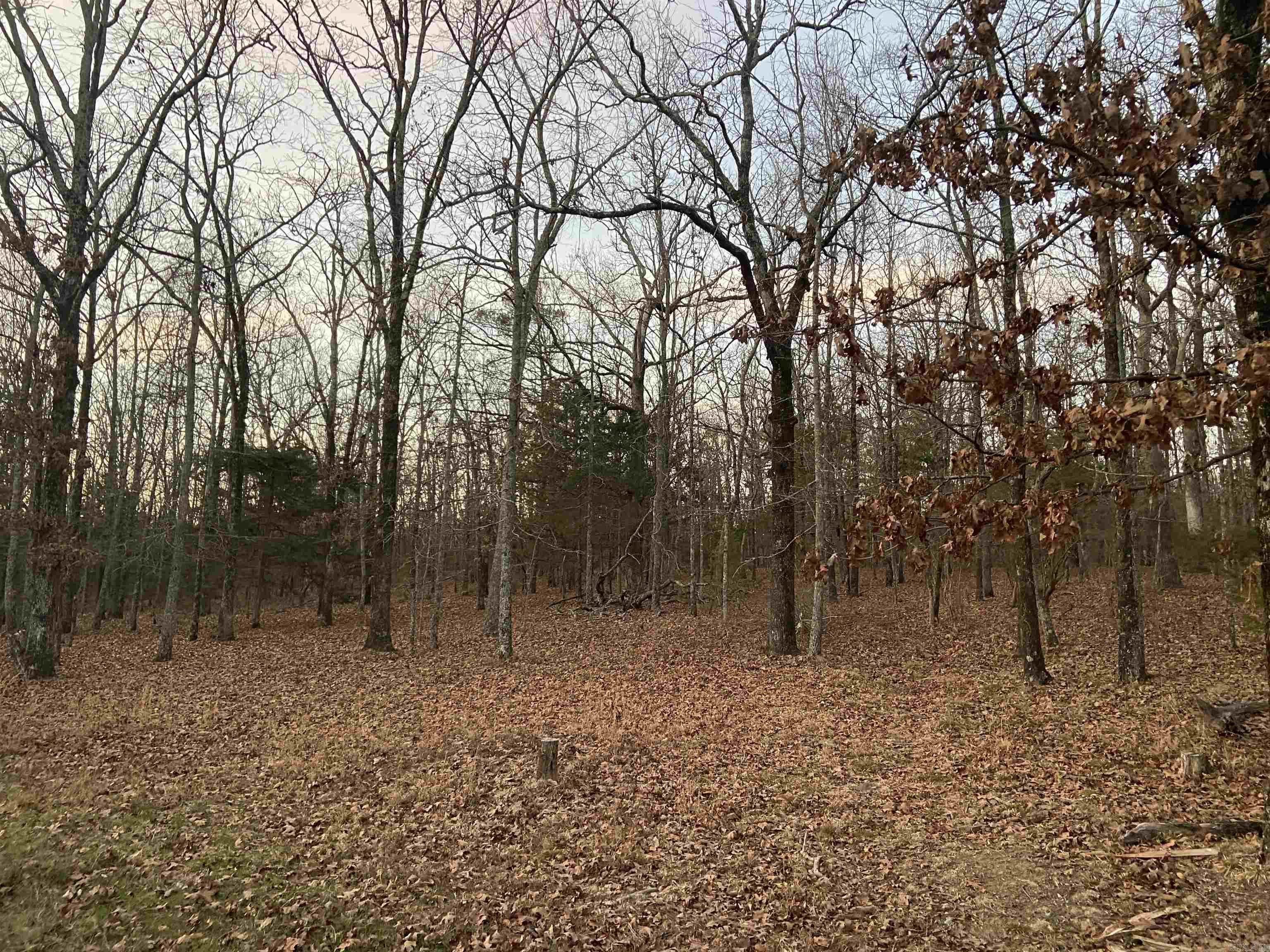 318 Wayne Walker Road Romance, AR 72136