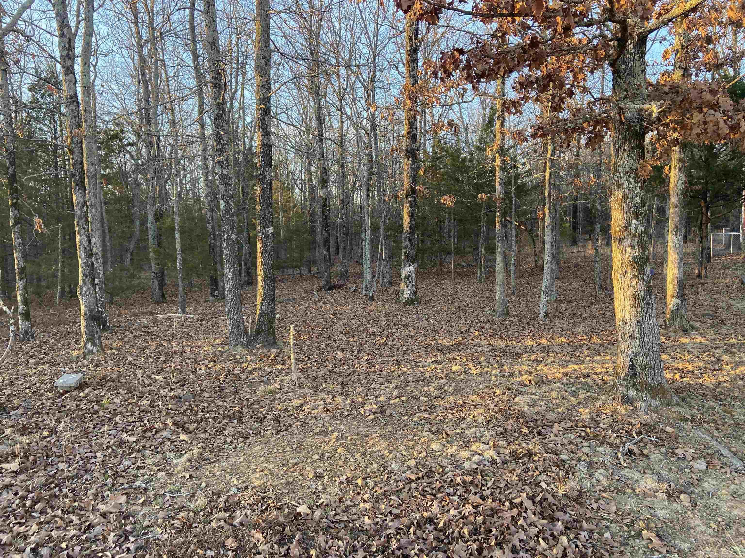 318 Wayne Walker  Romance, AR