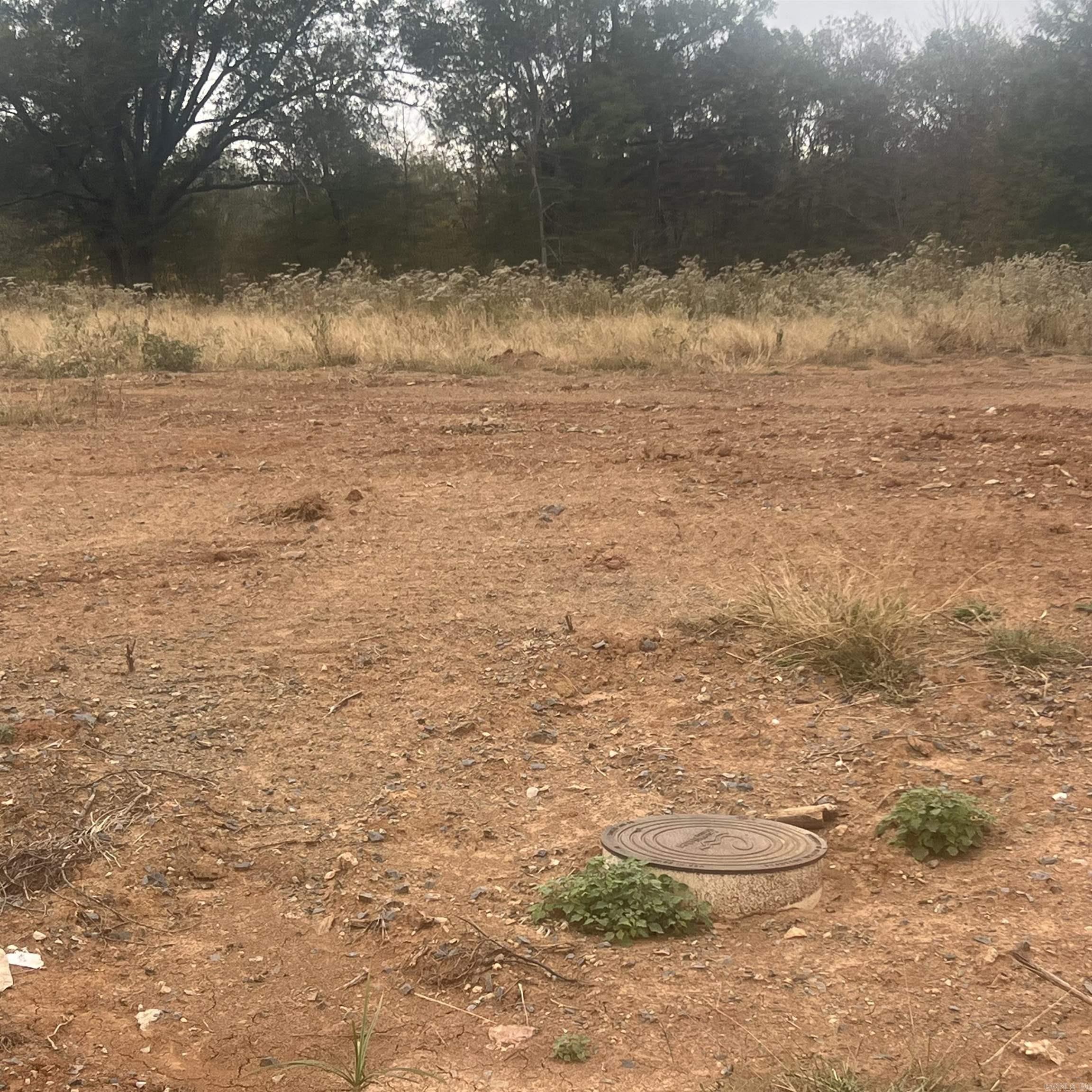 523 Corondelet Lane  Maumelle, AR