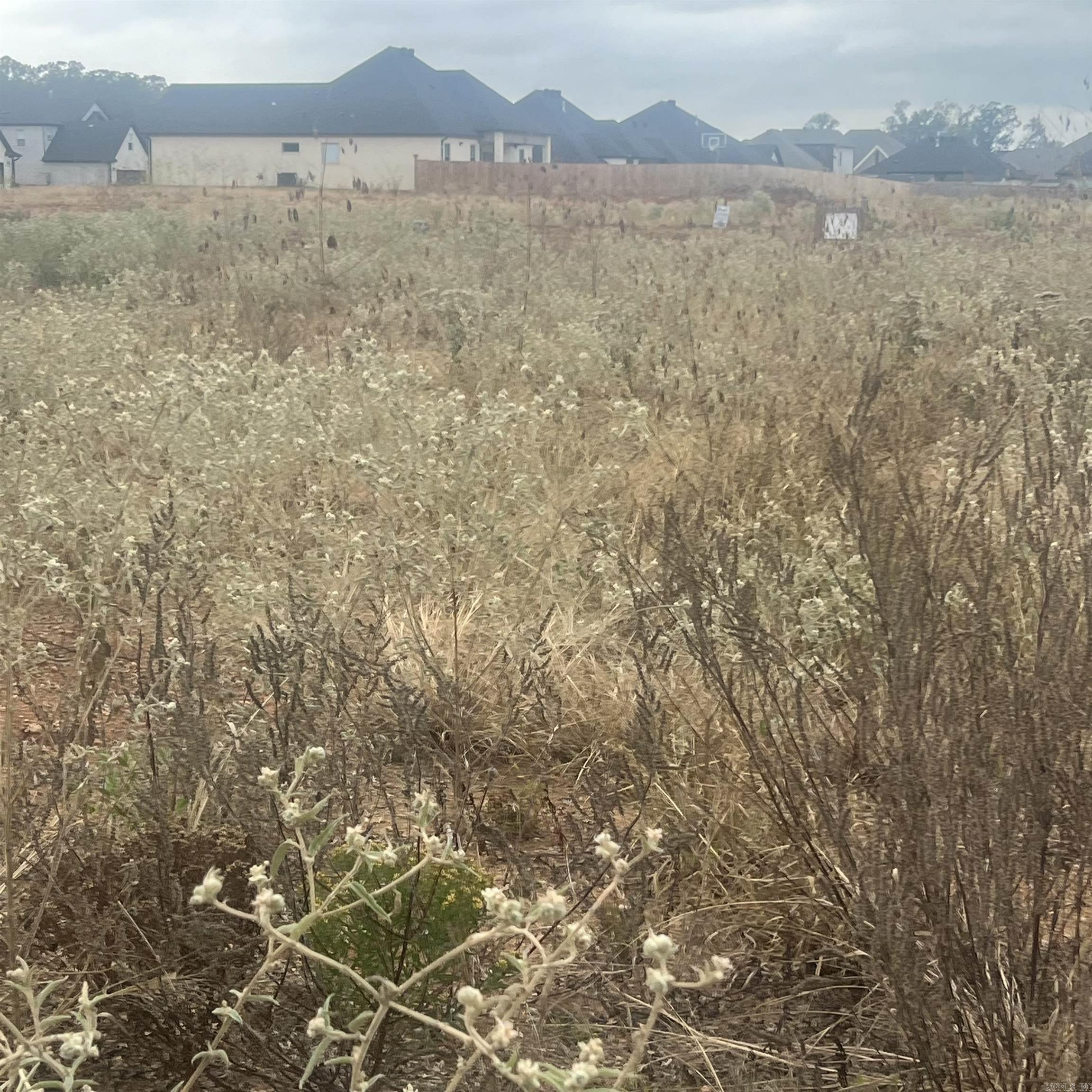 523 Corondelet Lane  Maumelle, AR