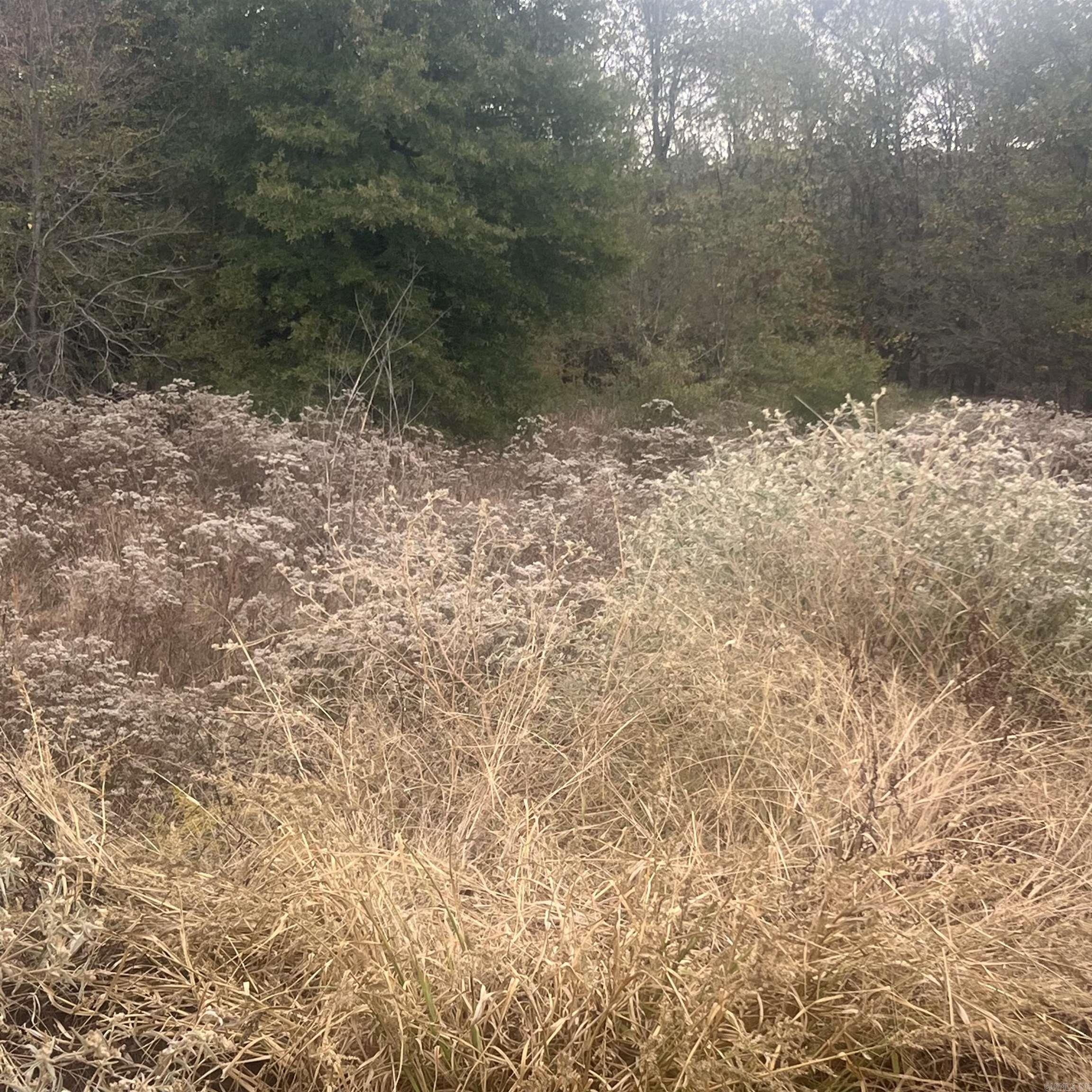 523 Corondelet Lane  Maumelle, AR