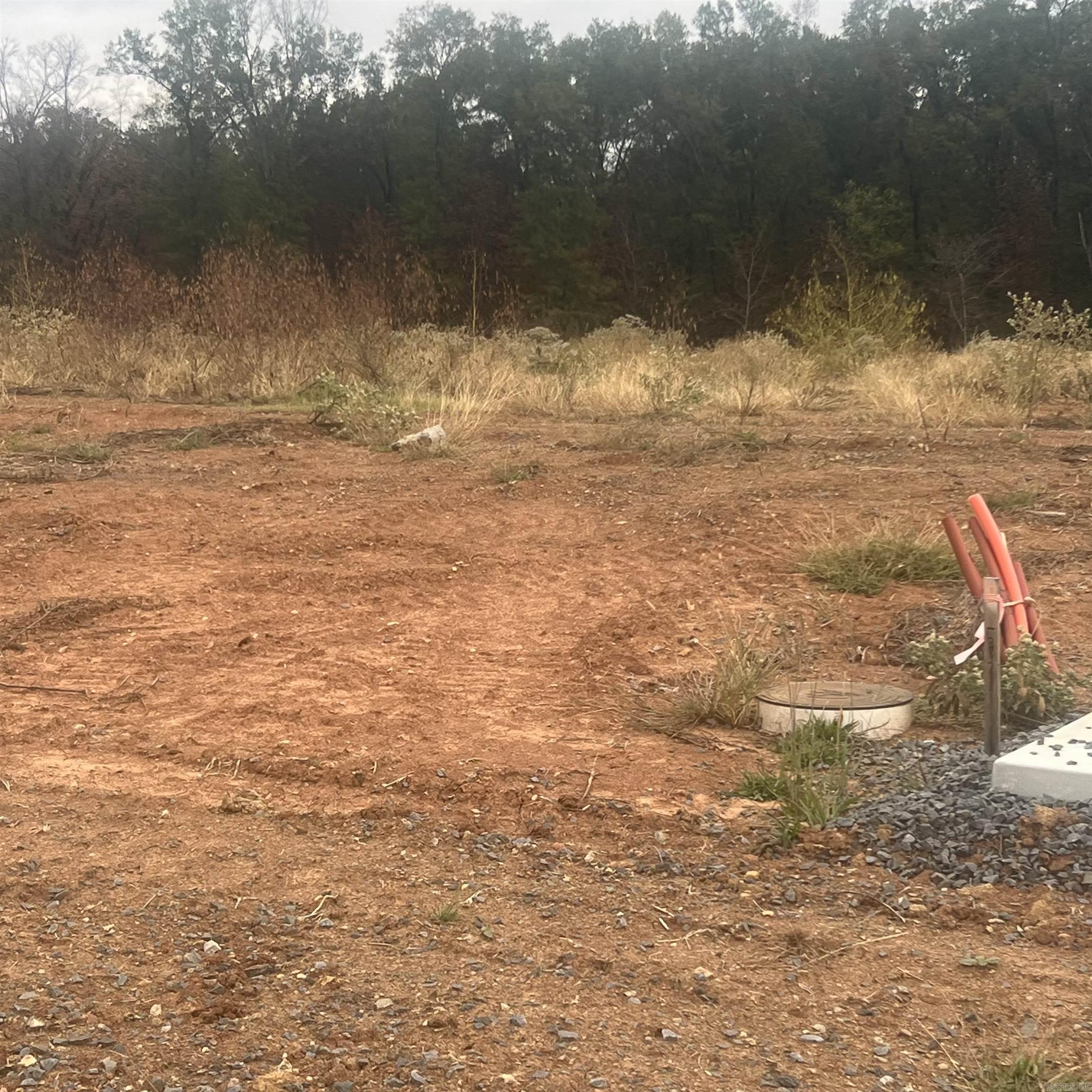 513 Corondelet Lane  Maumelle, AR