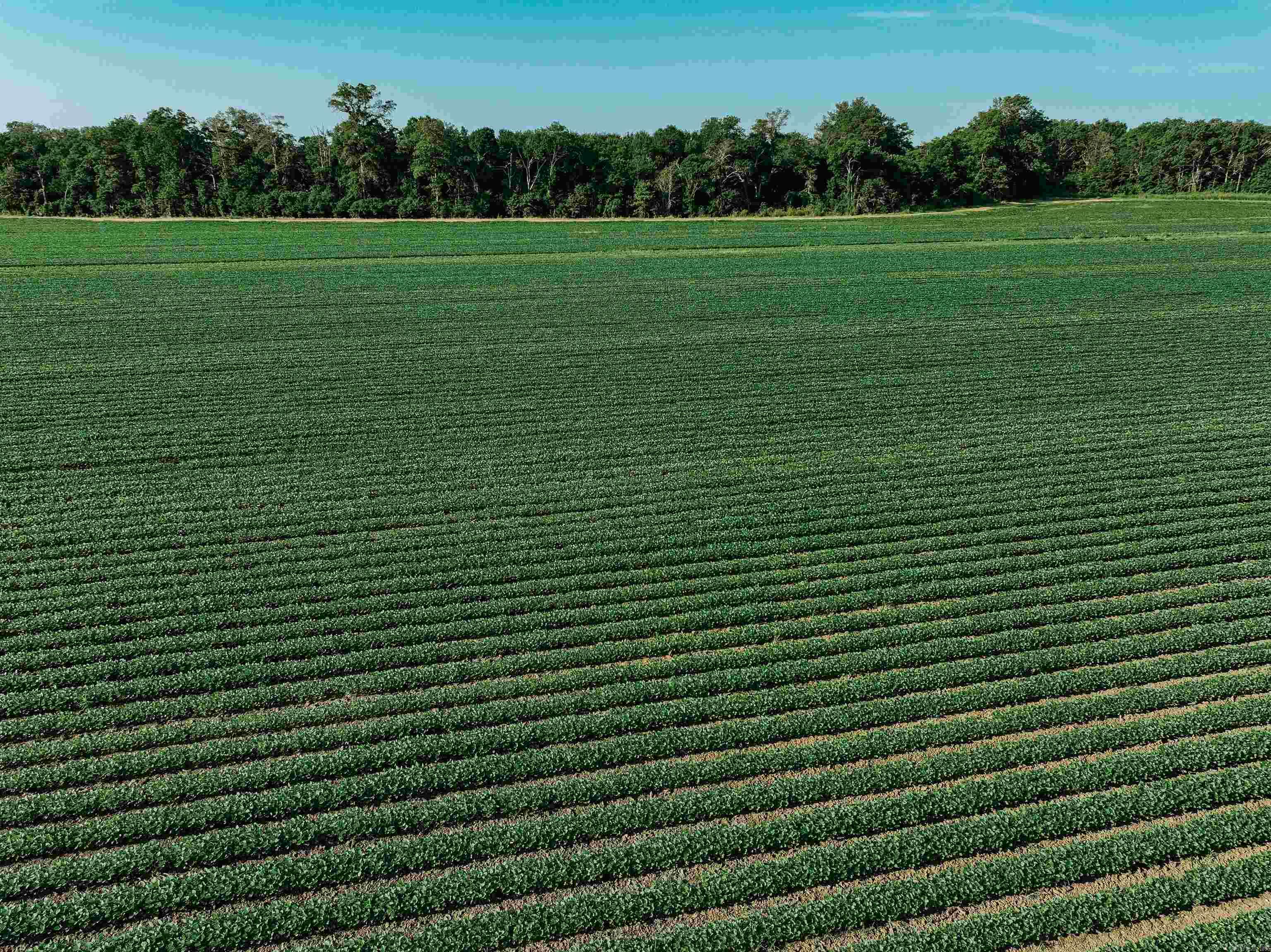 0000 W 8  Eudora, AR