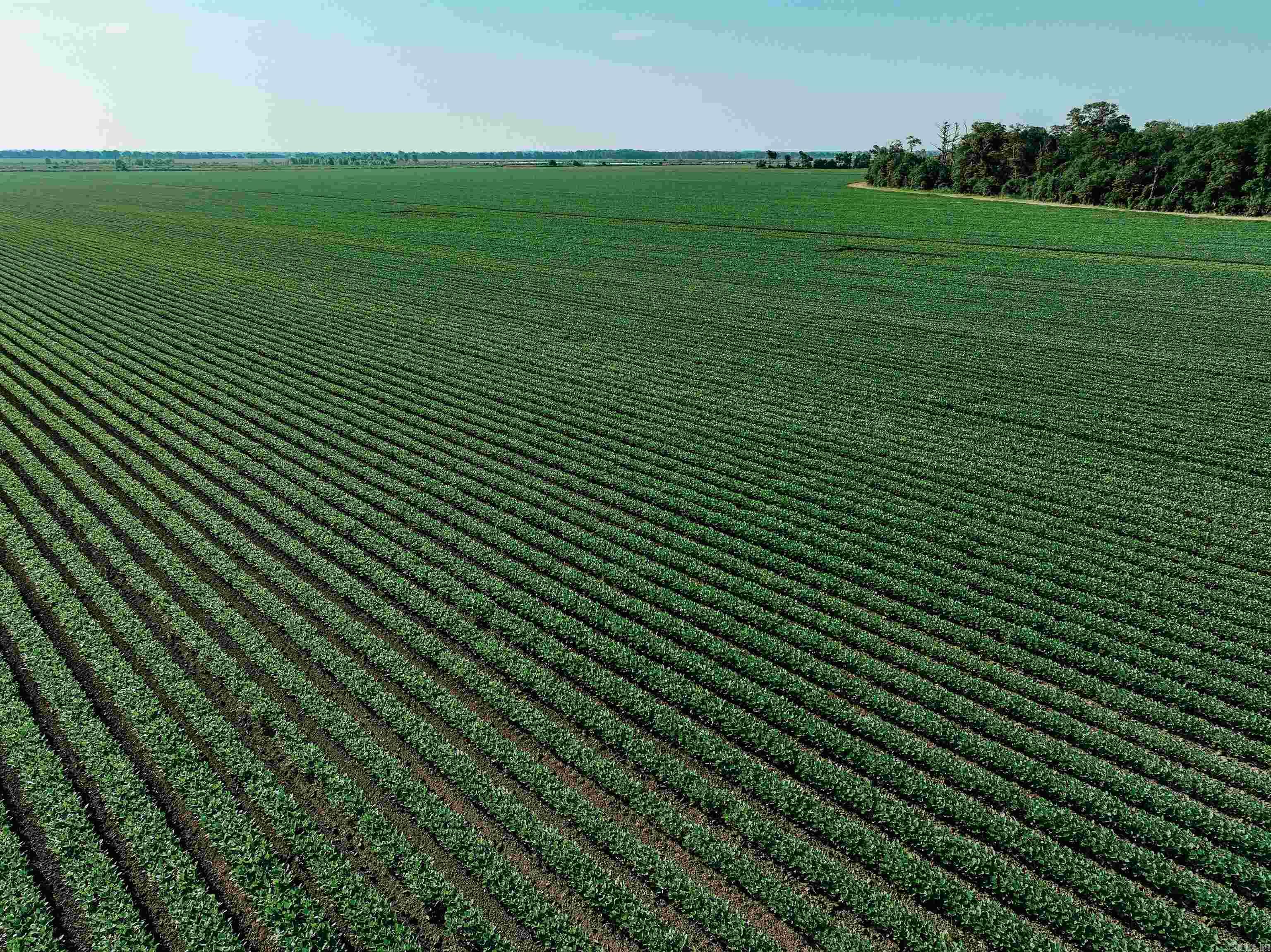 0000 W 8  Eudora, AR