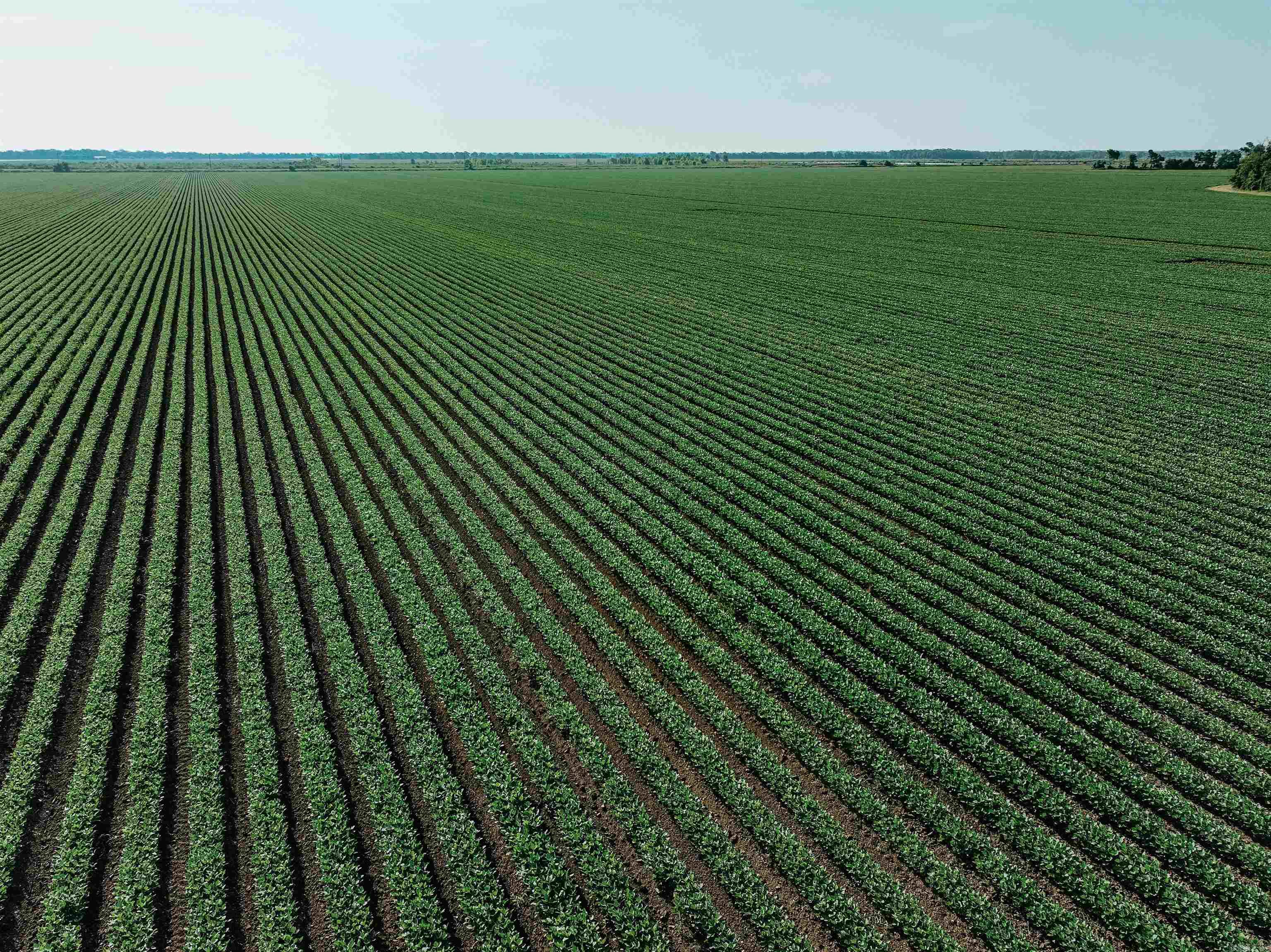 0000 W 8  Eudora, AR