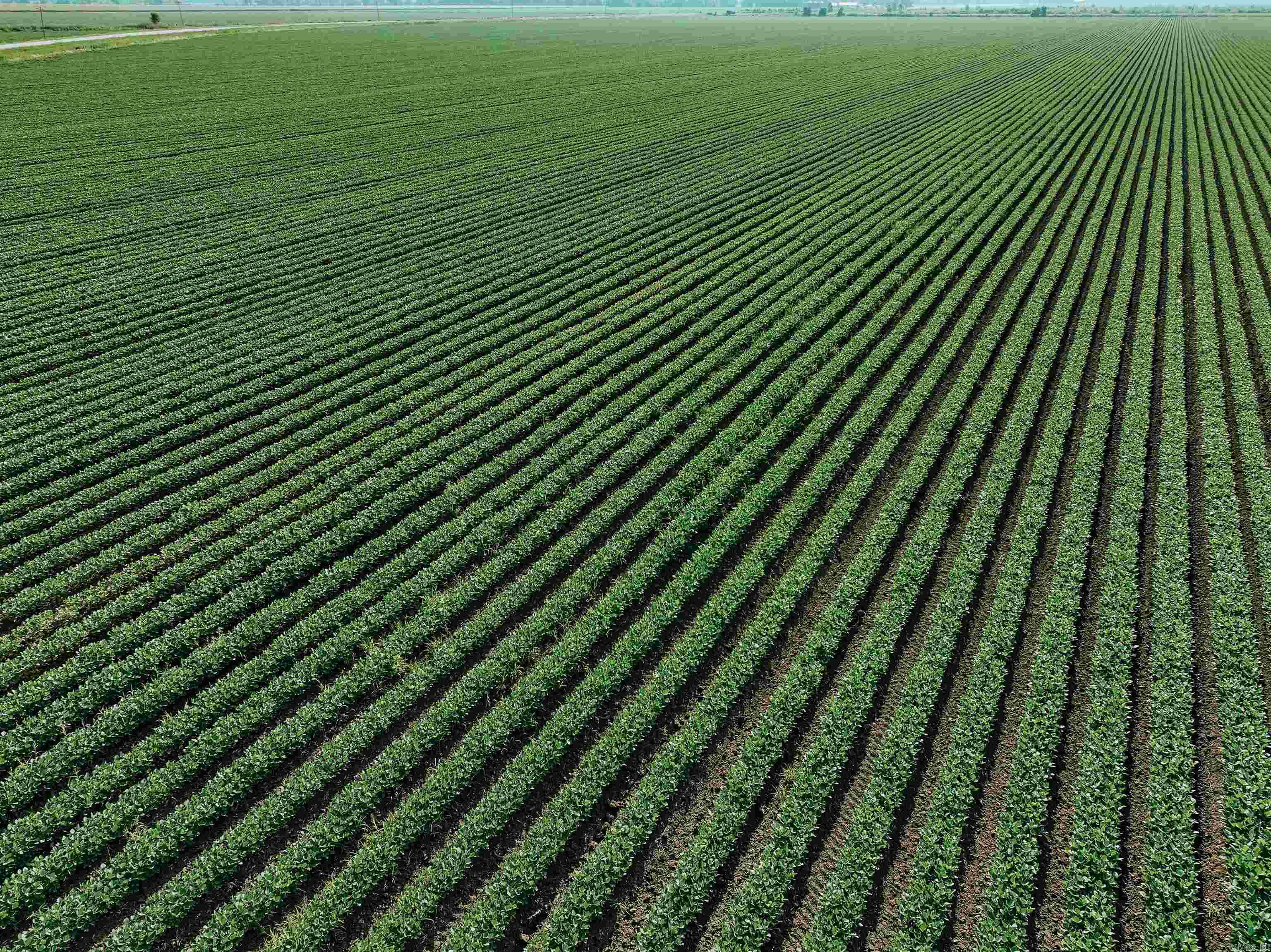 0000 W 8  Eudora, AR