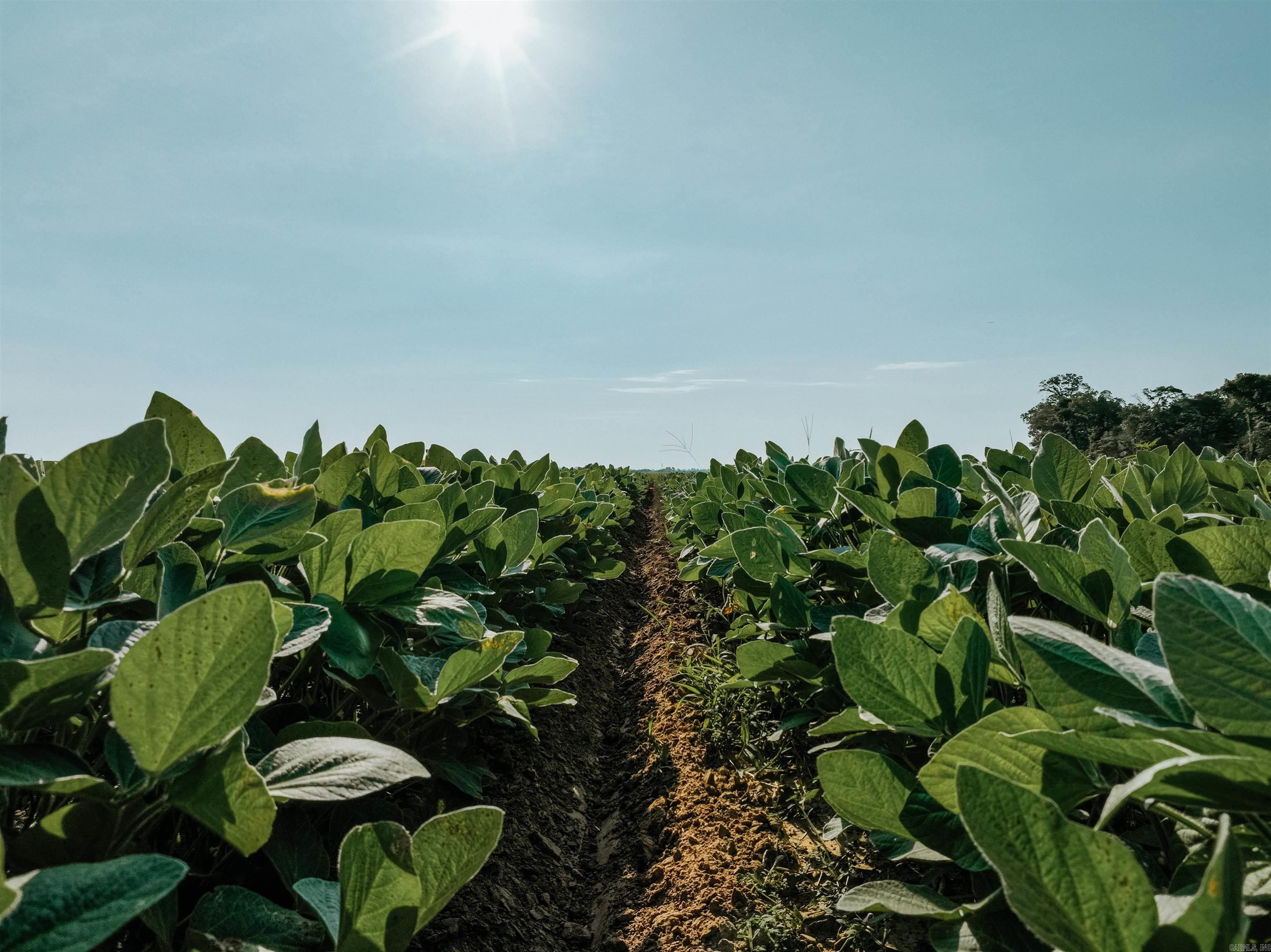 0000 W 8  Eudora, AR