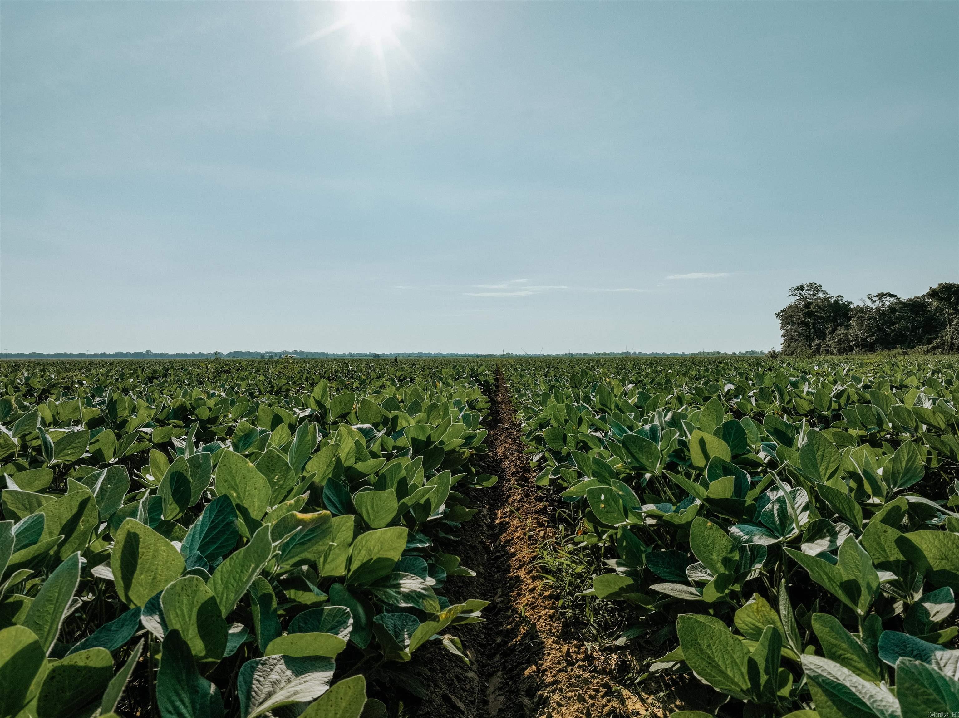 0000 W 8  Eudora, AR