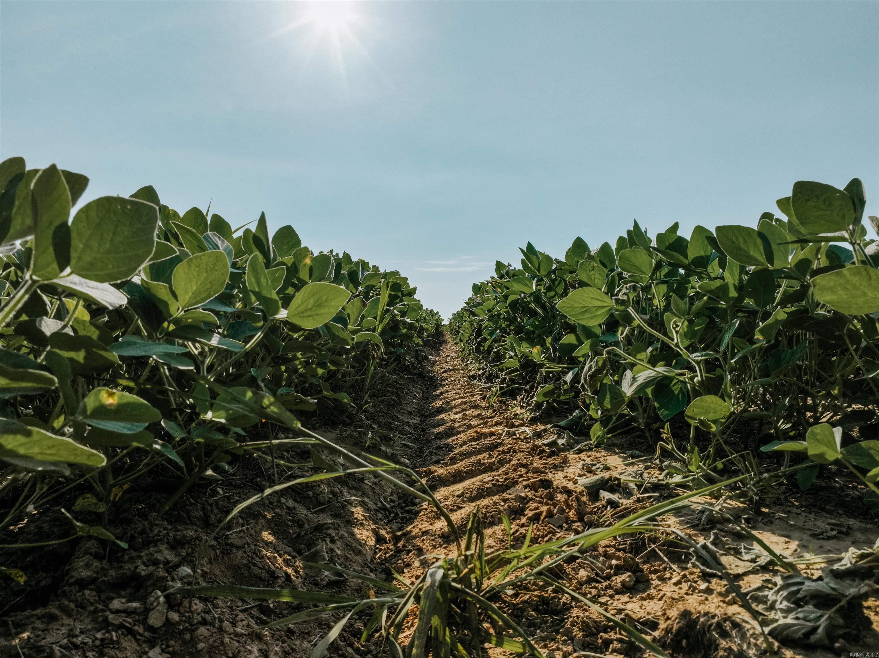 0000 W 8  Eudora, AR