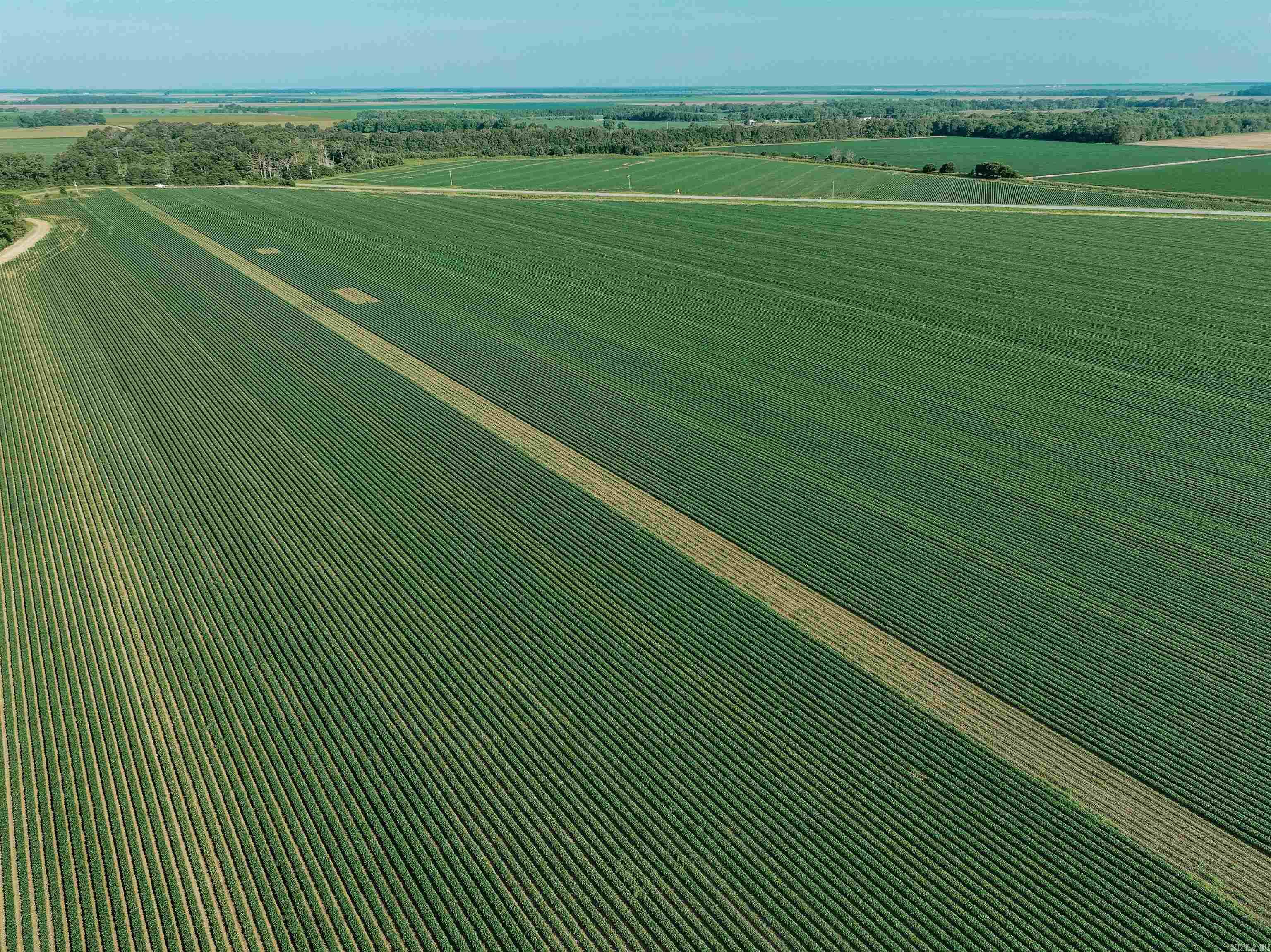 0000 W 8  Eudora, AR