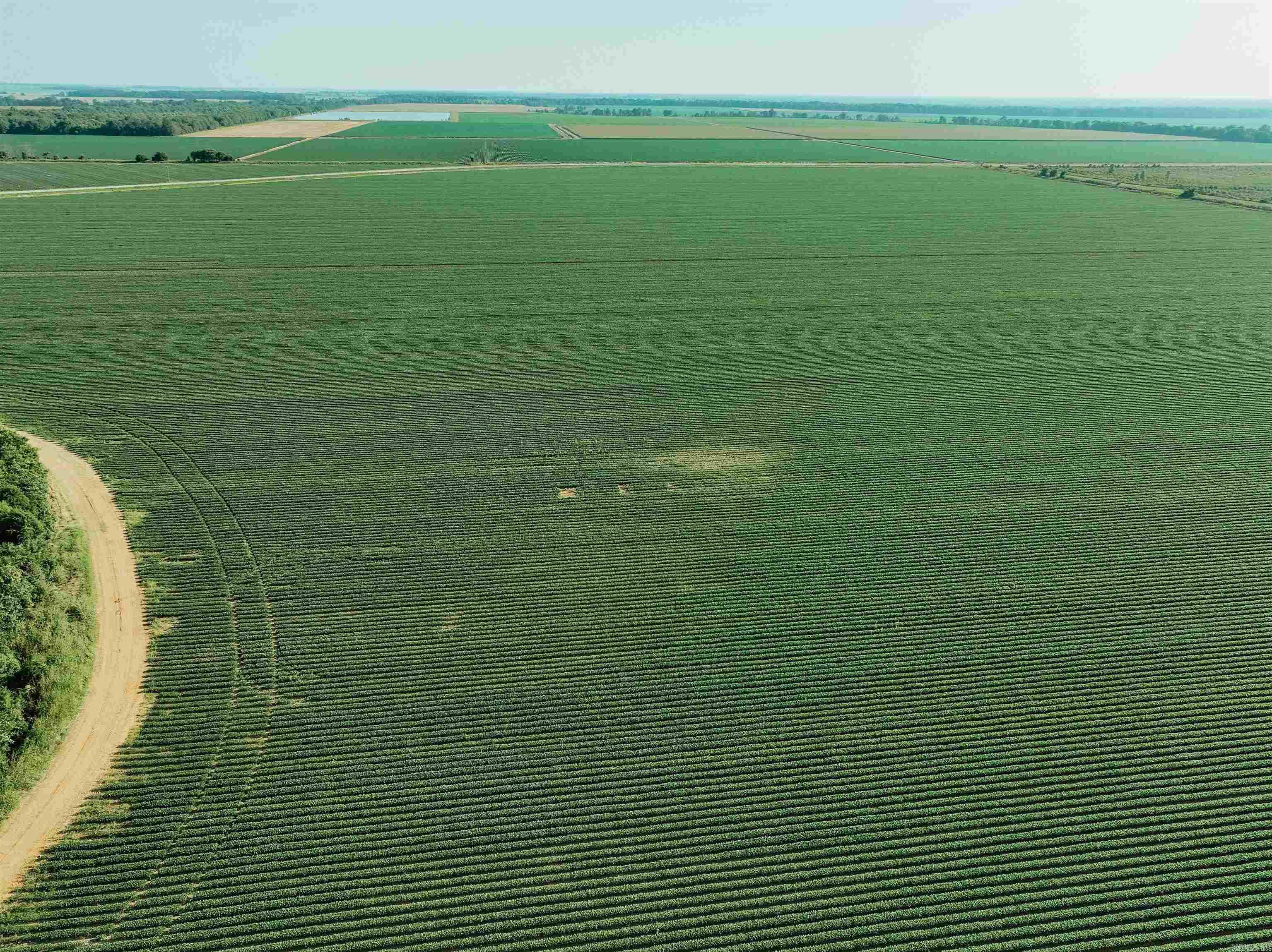 0000 W 8  Eudora, AR