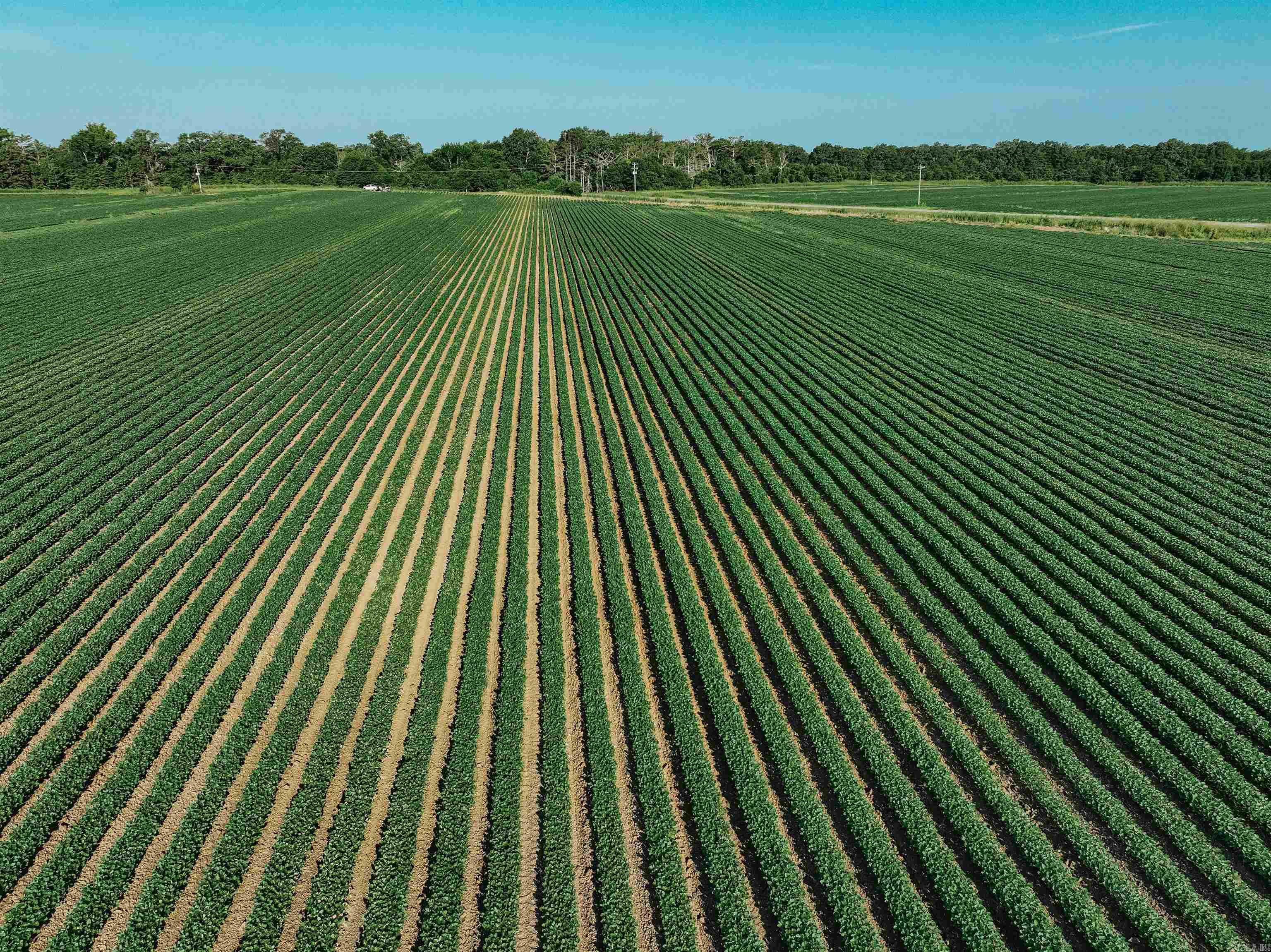 0000 W 8  Eudora, AR