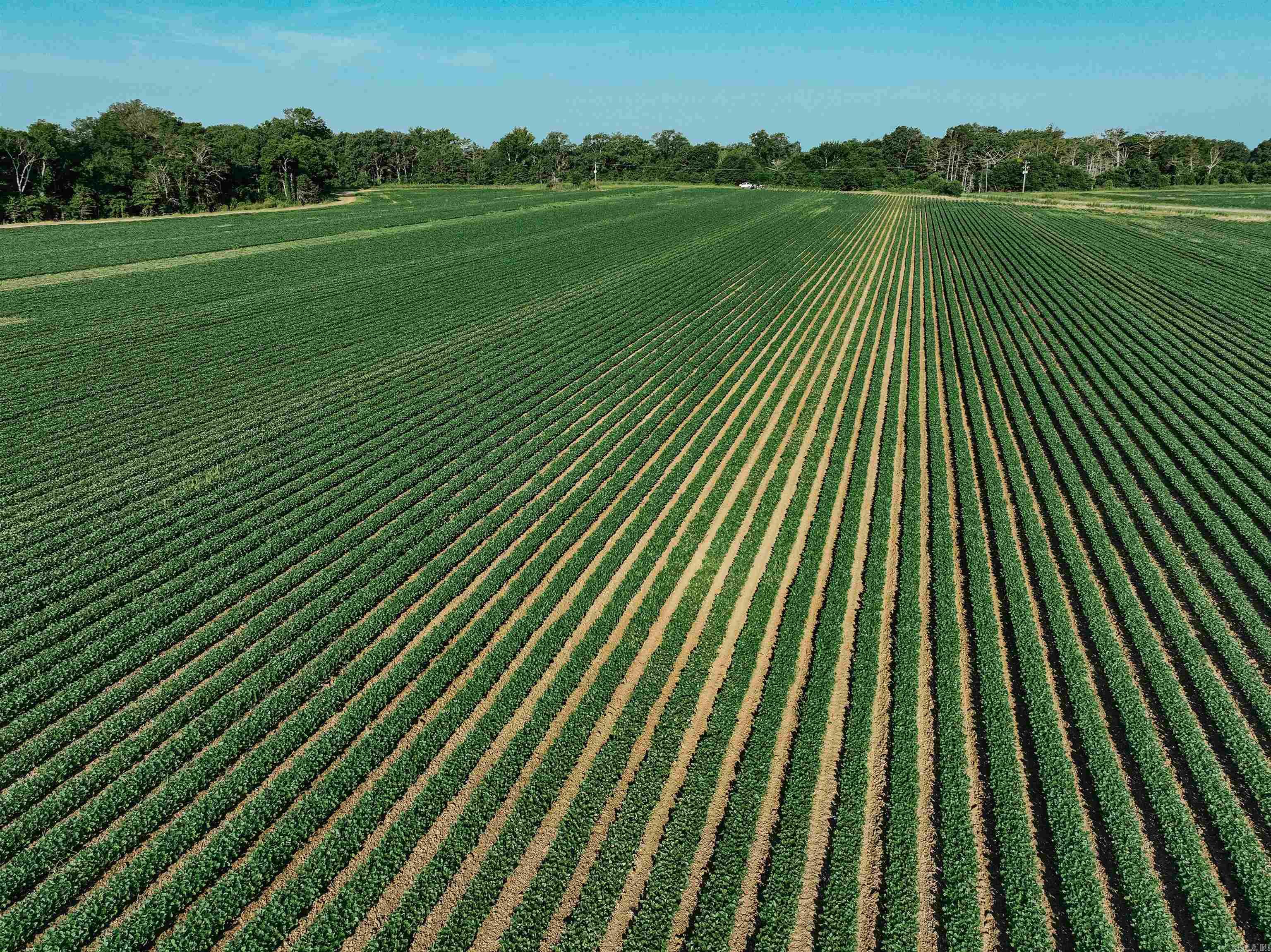 0000 W 8  Eudora, AR