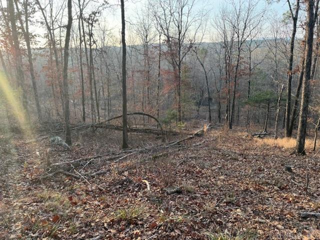 OFF Hwy 164  Lamar, AR