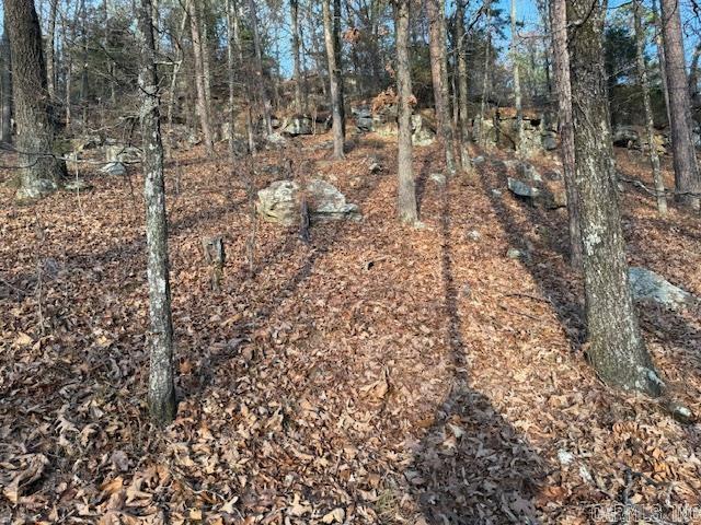 OFF Hwy 164  Lamar, AR