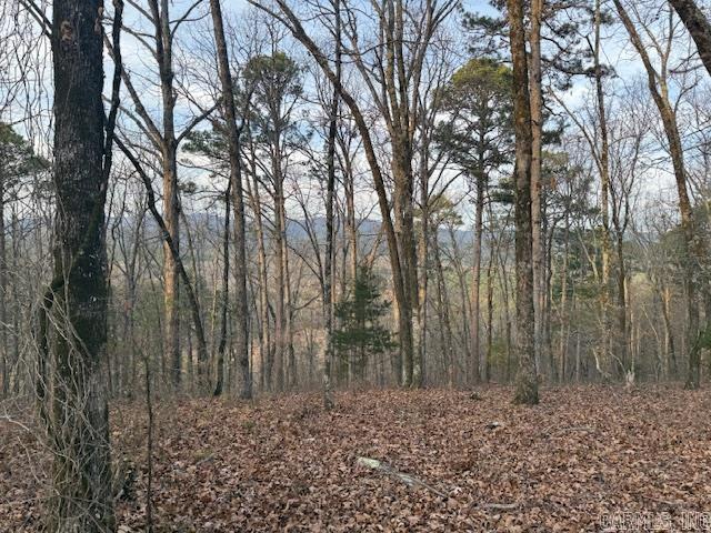 OFF Hwy 164  Lamar, AR