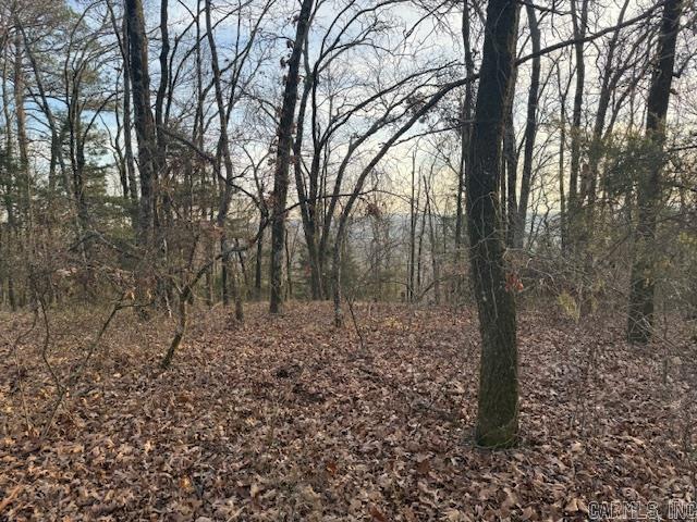 OFF Hwy 164  Lamar, AR