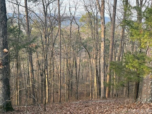 OFF Hwy 164  Lamar, AR