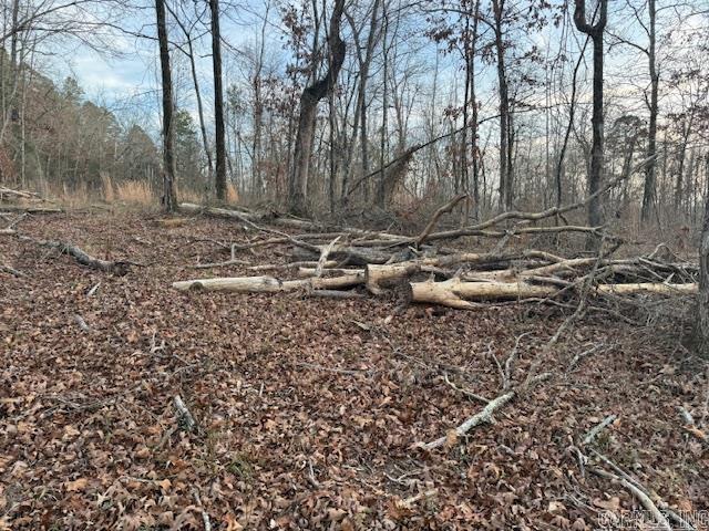 OFF Hwy 164  Lamar, AR