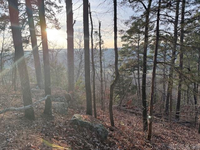 OFF Hwy 164  Lamar, AR