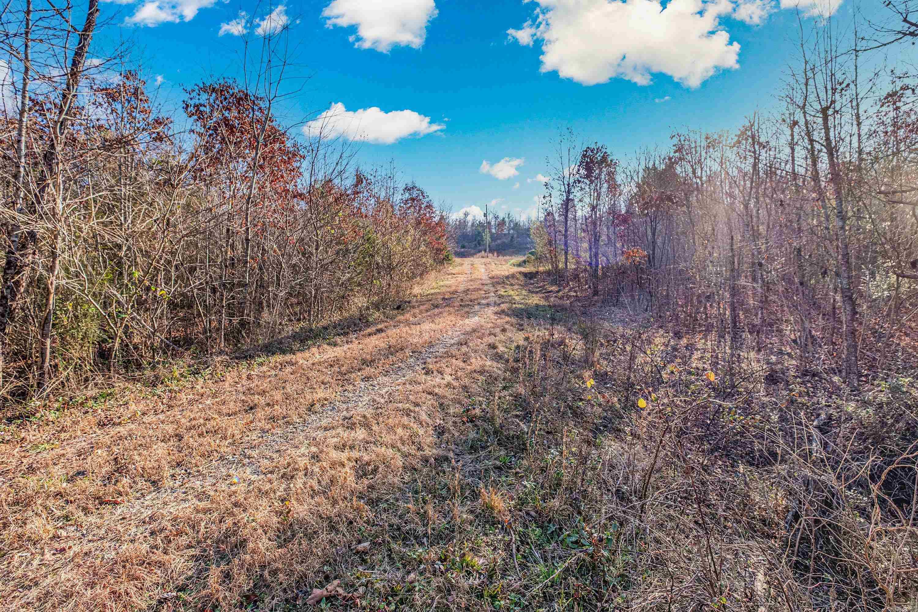 5725 Echols Rd.  Cabot, AR