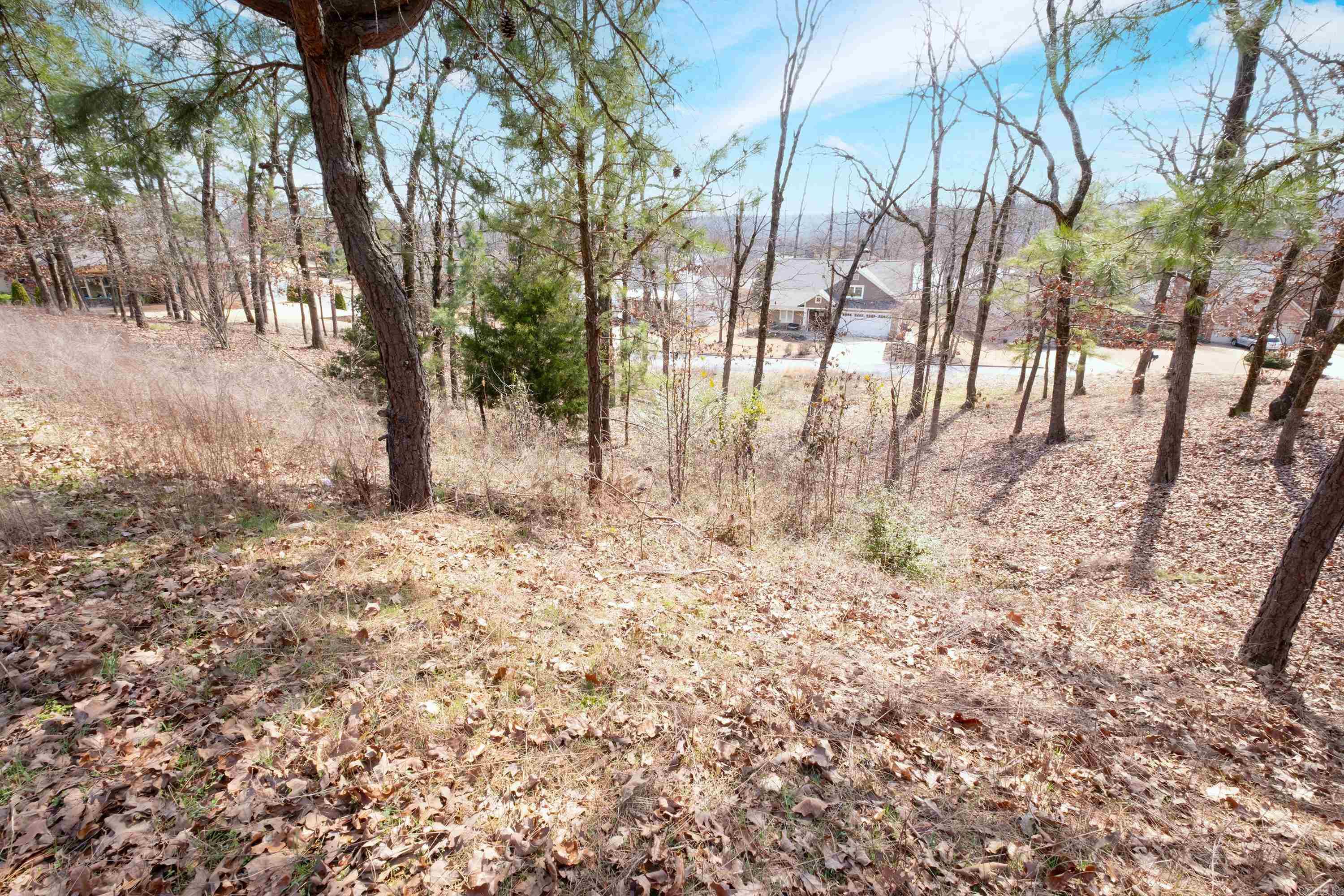 112 Turtle Creek  Maumelle, AR