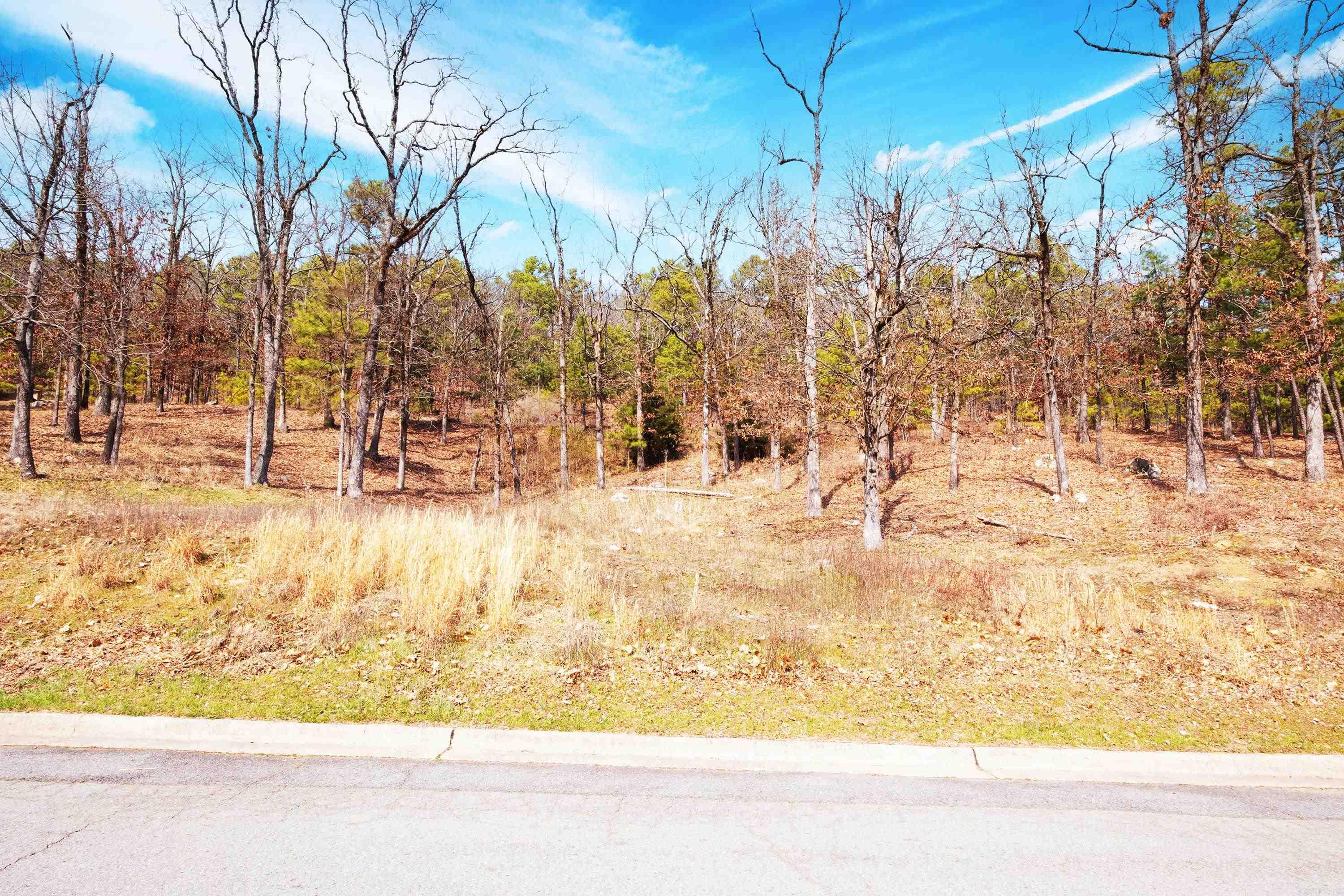 112 Turtle Creek  Maumelle, AR