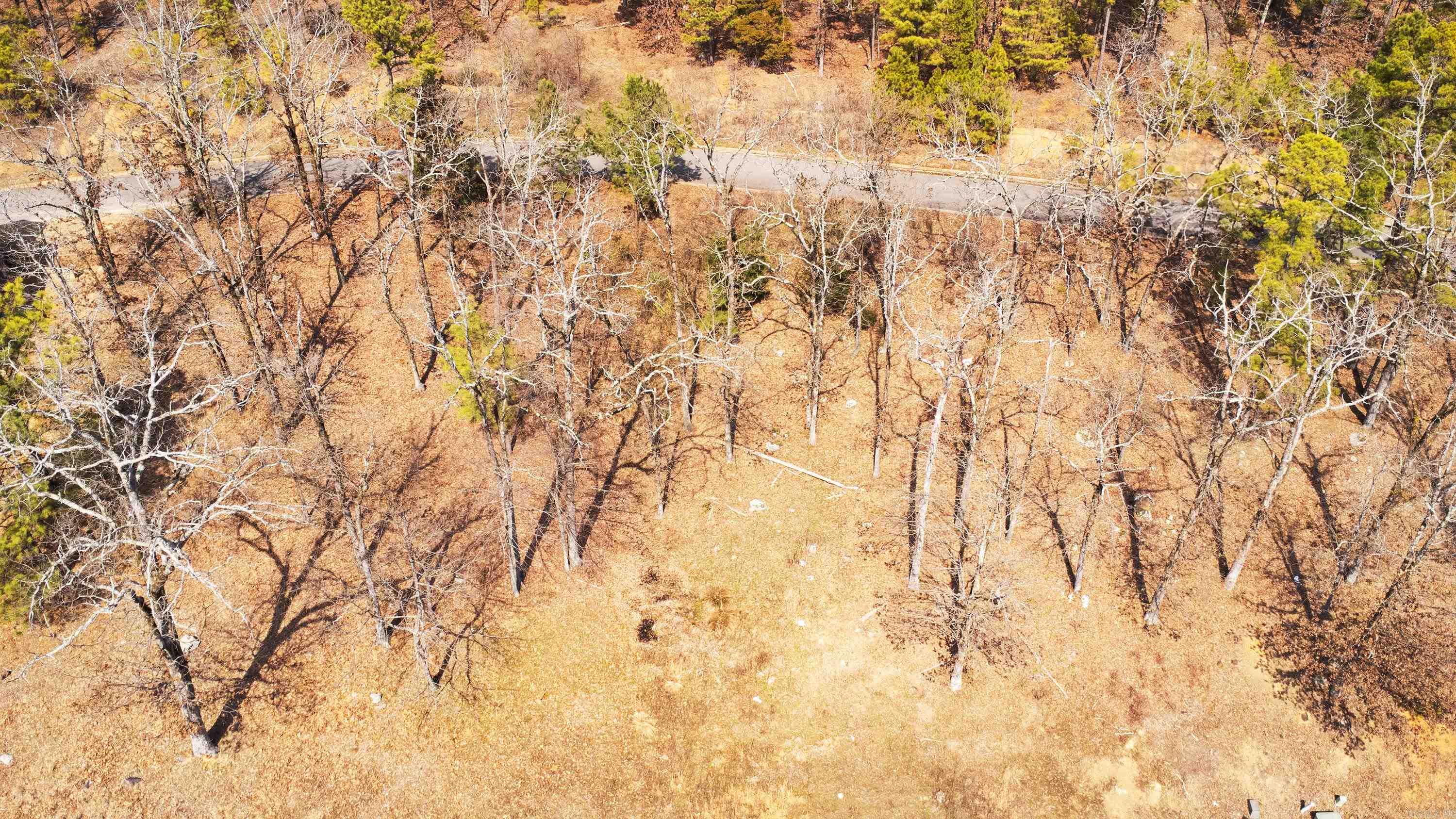 112 Turtle Creek  Maumelle, AR