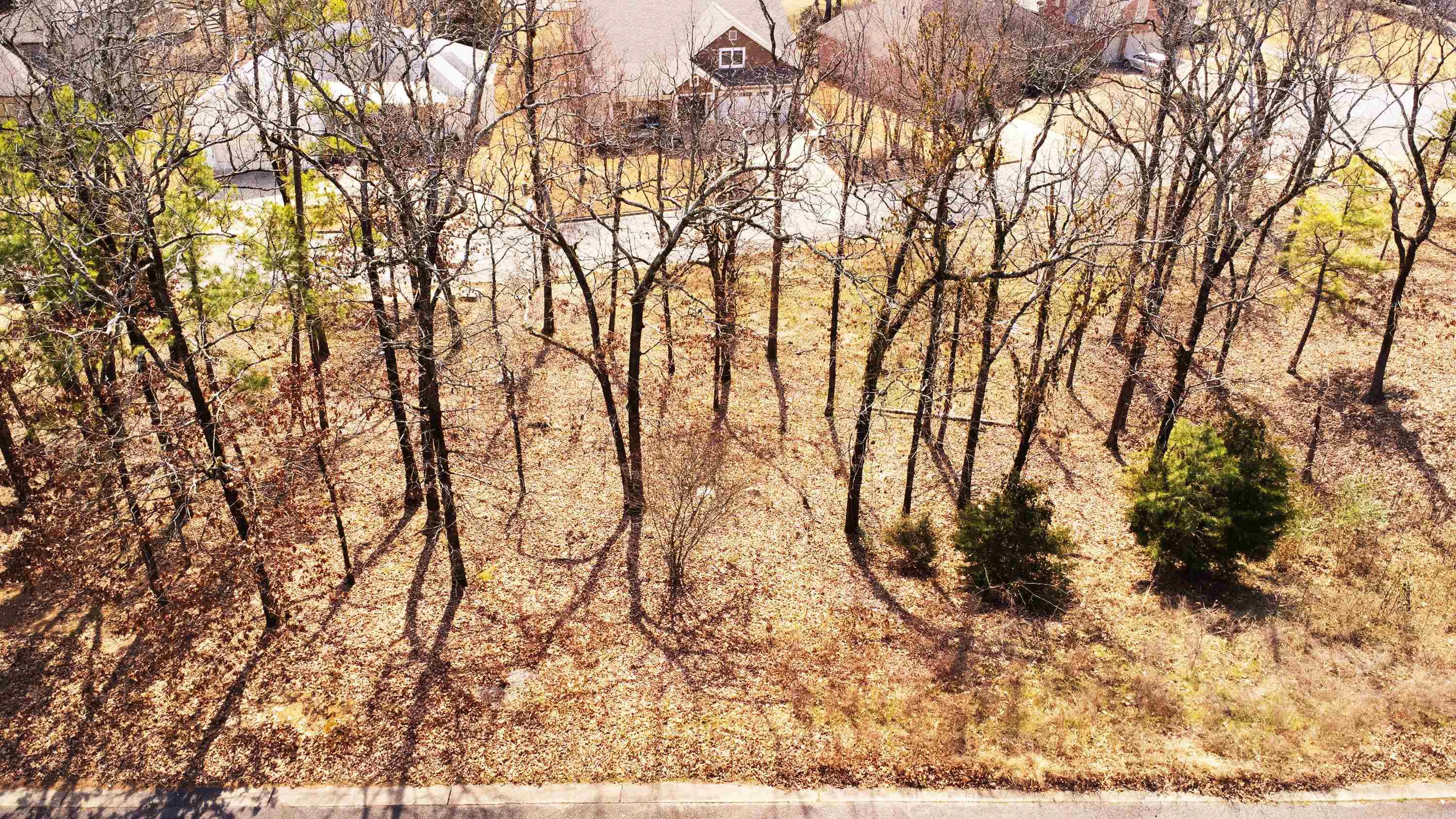 112 Turtle Creek  Maumelle, AR