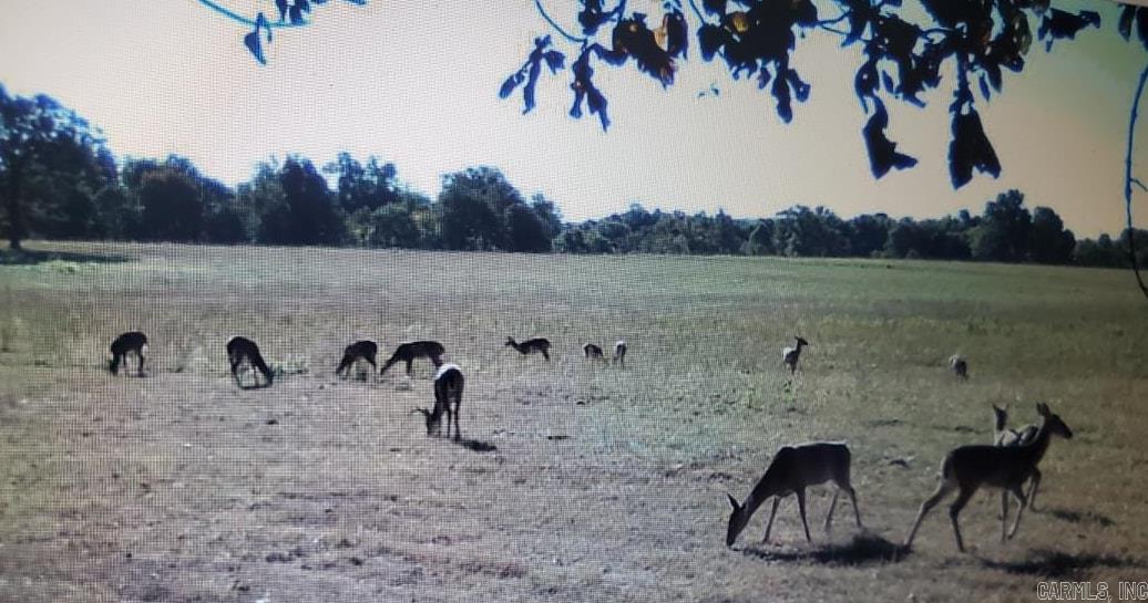 213 Plantation Dr.  Mayflower, AR