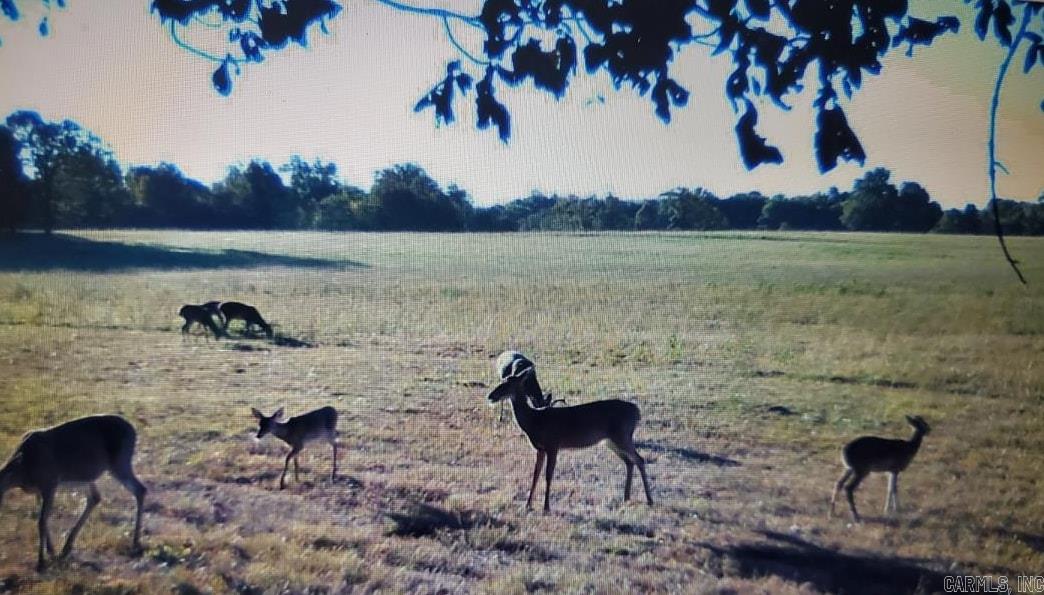 213 Plantation Dr.  Mayflower, AR