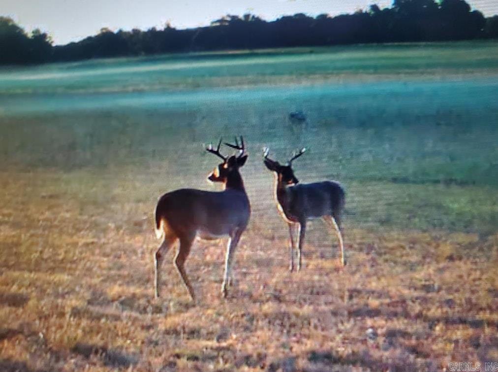 213 Plantation Dr.  Mayflower, AR