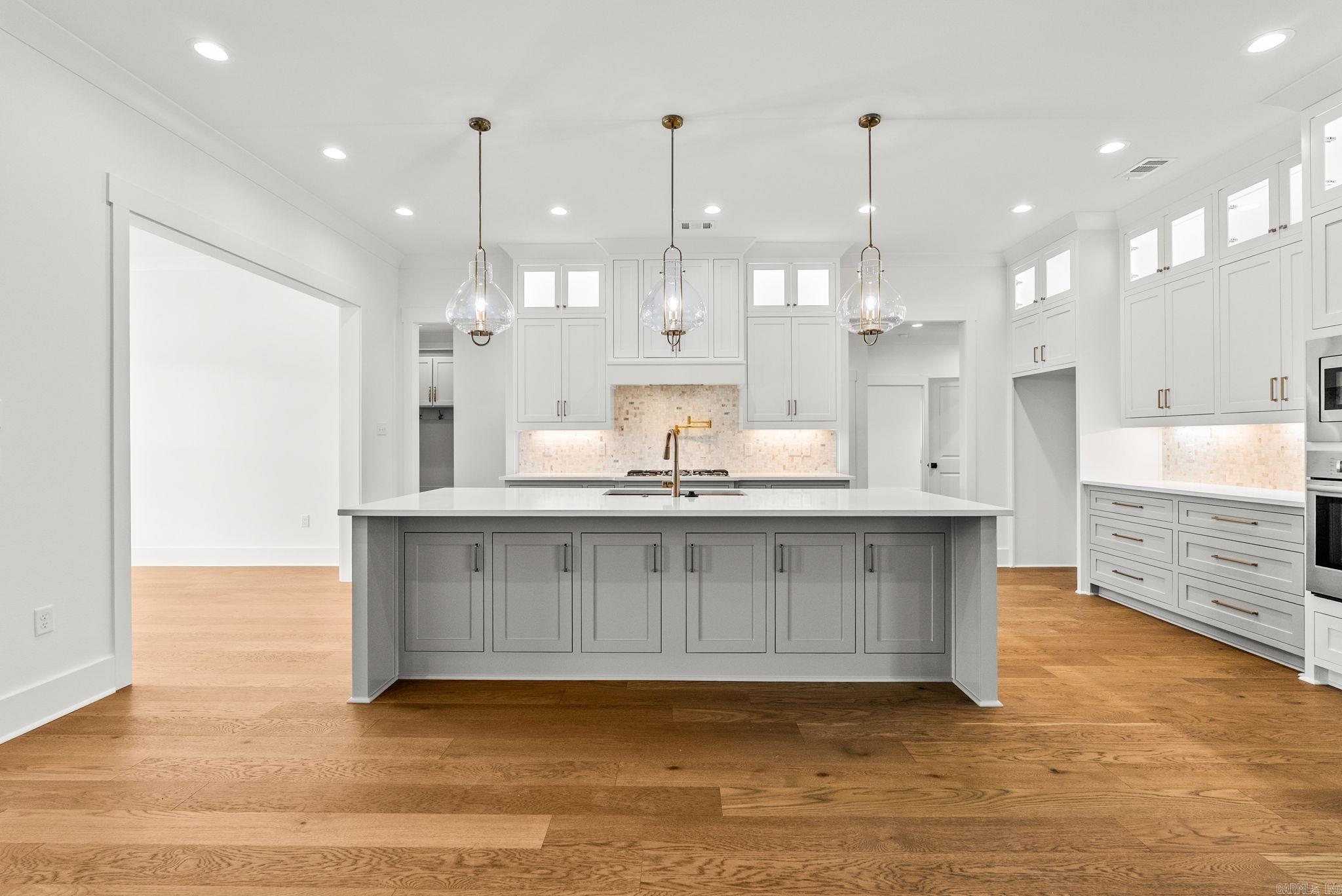 1670 DOLPHIN  Conway, AR