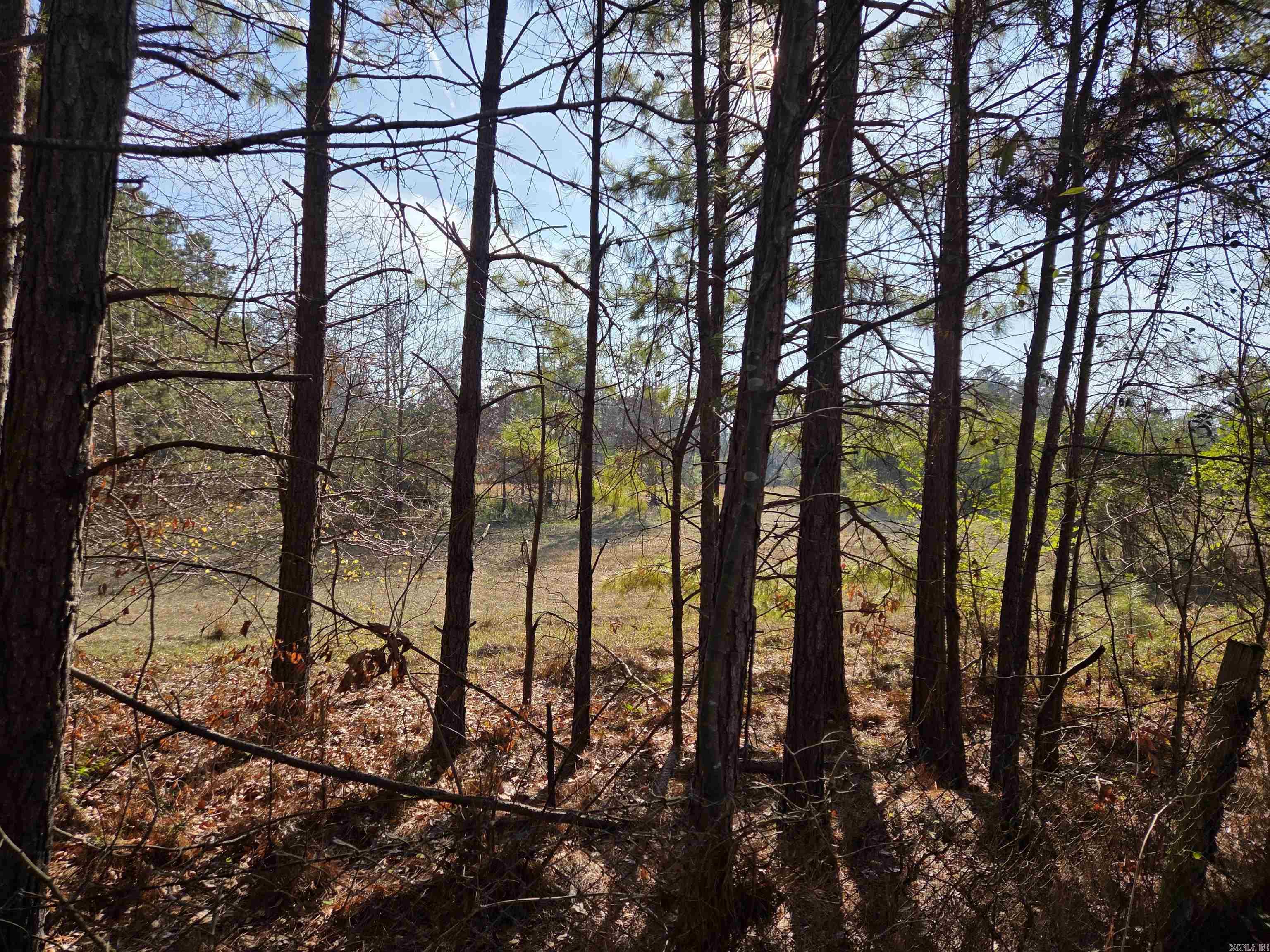 6824 Nevins Road  Pine Bluff, AR