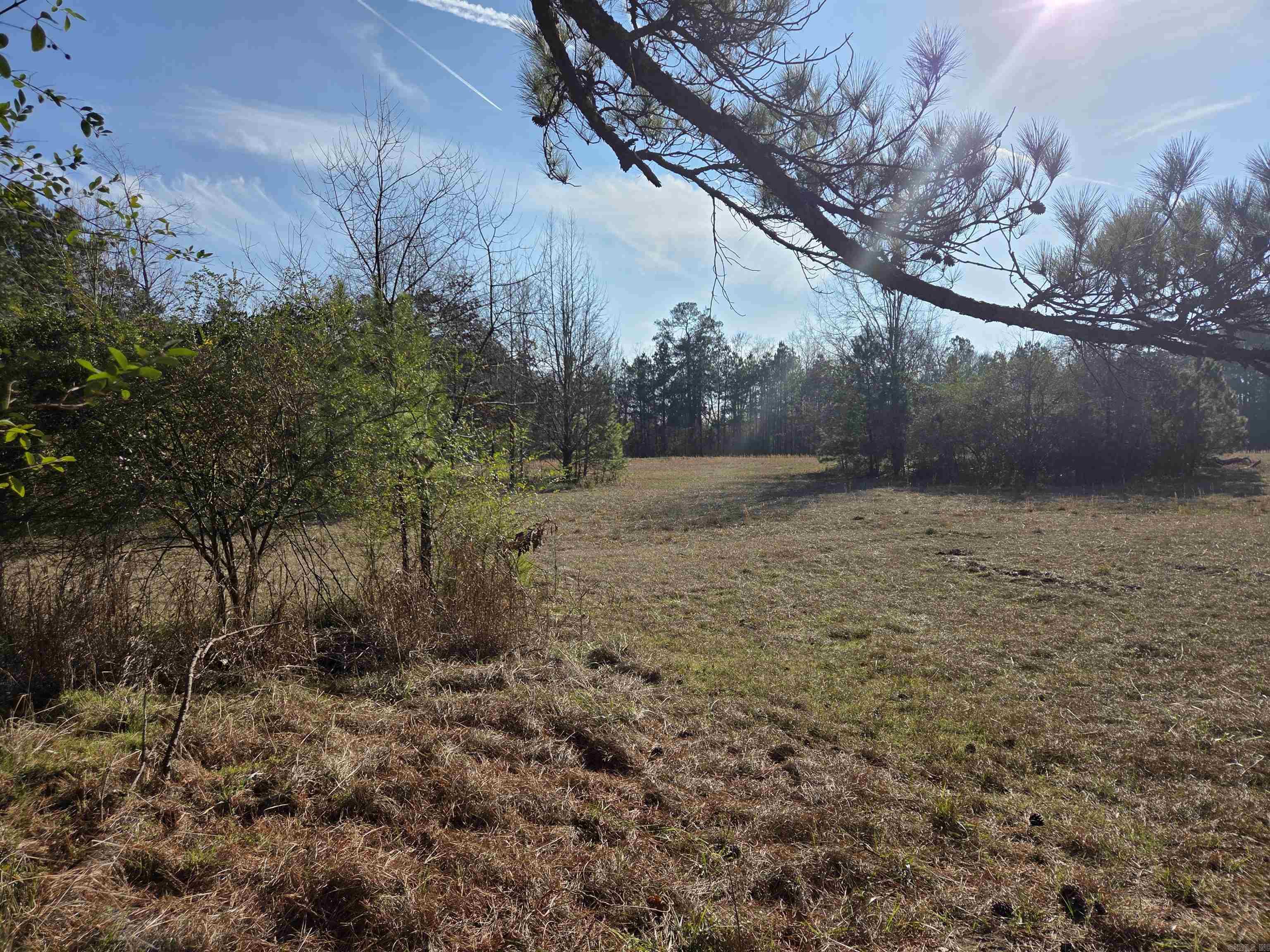 6824 Nevins Road  Pine Bluff, AR