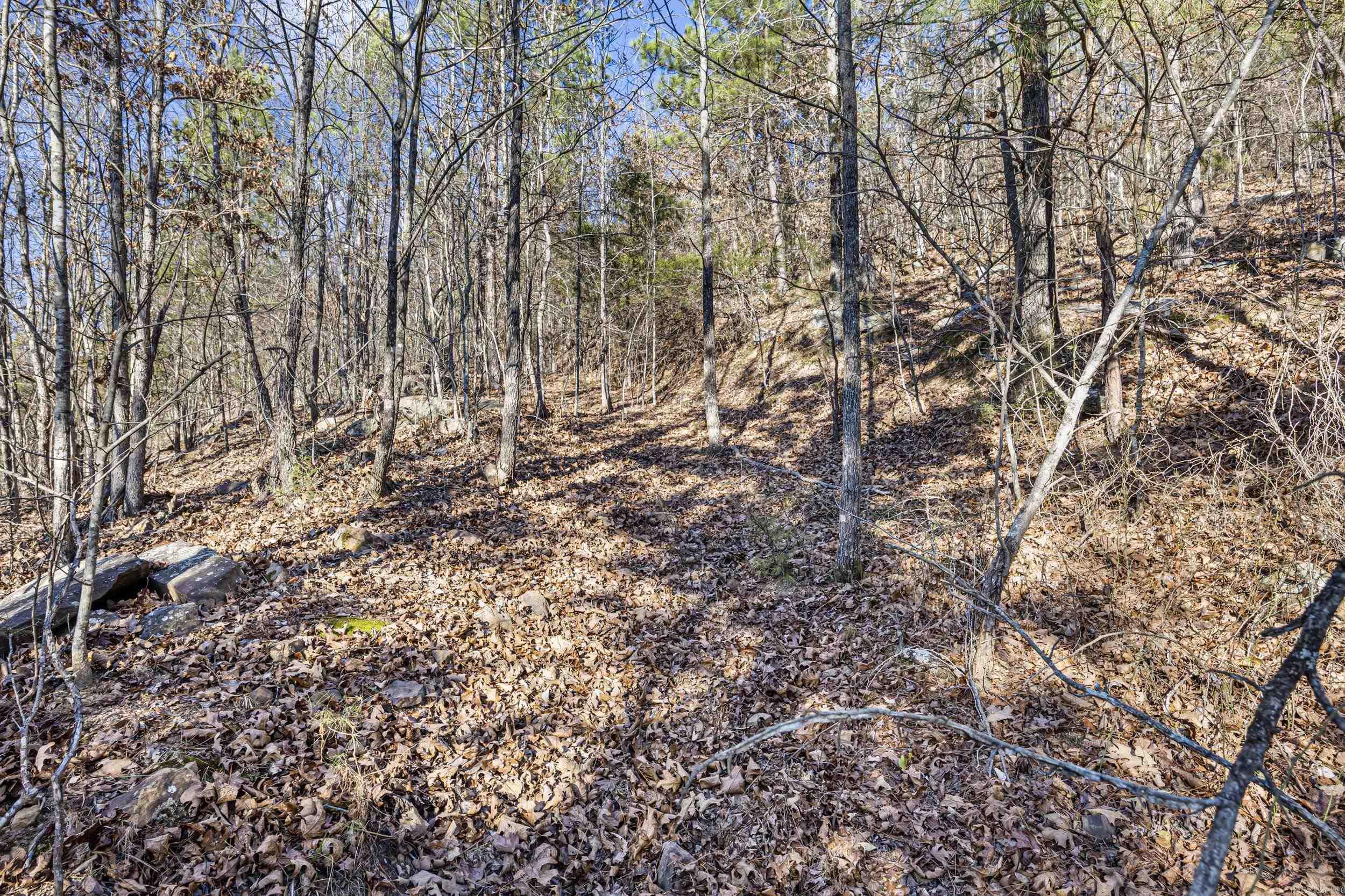 80 acres off of SR 164 W  Dover, AR