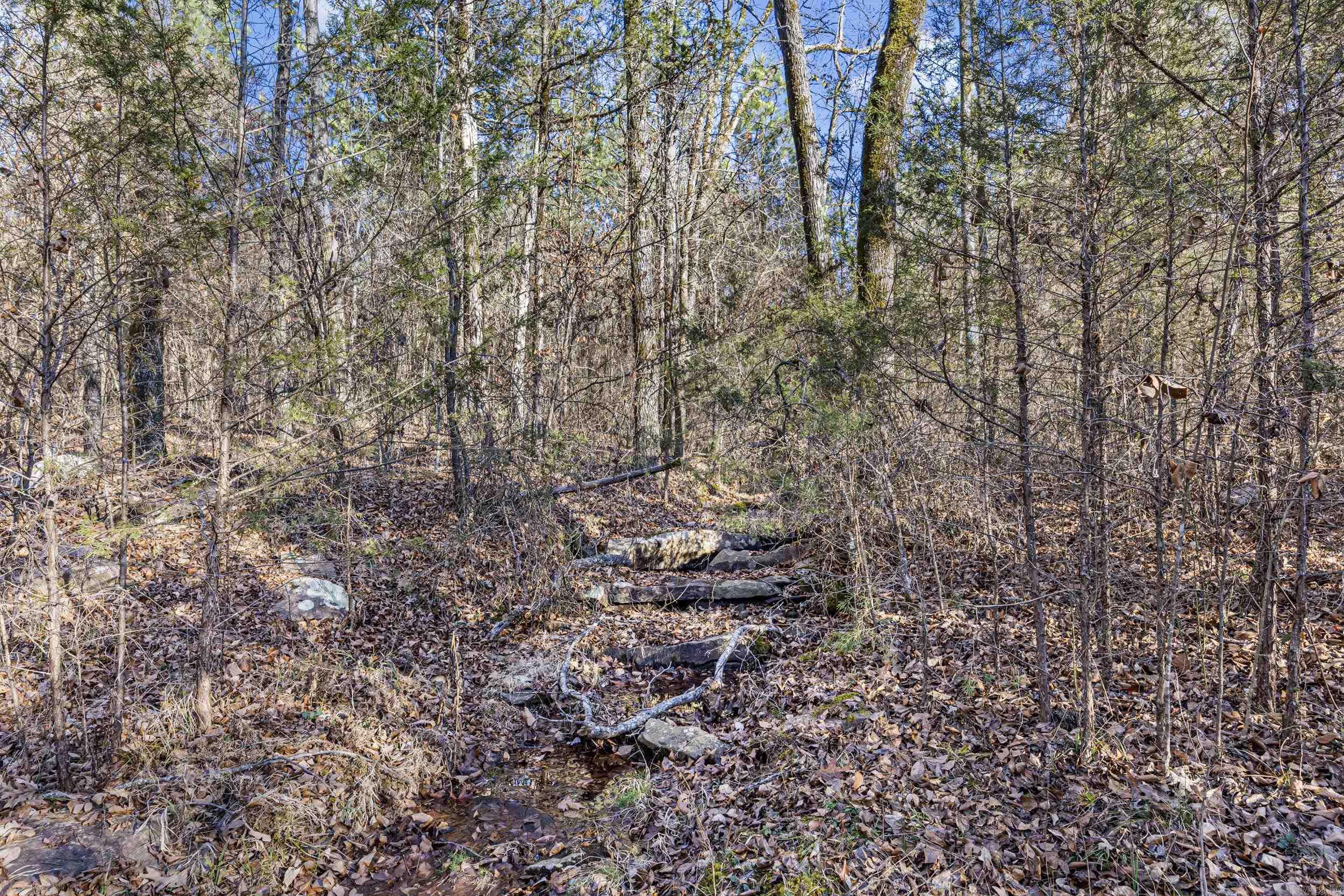 80 acres off of SR 164 W  Dover, AR