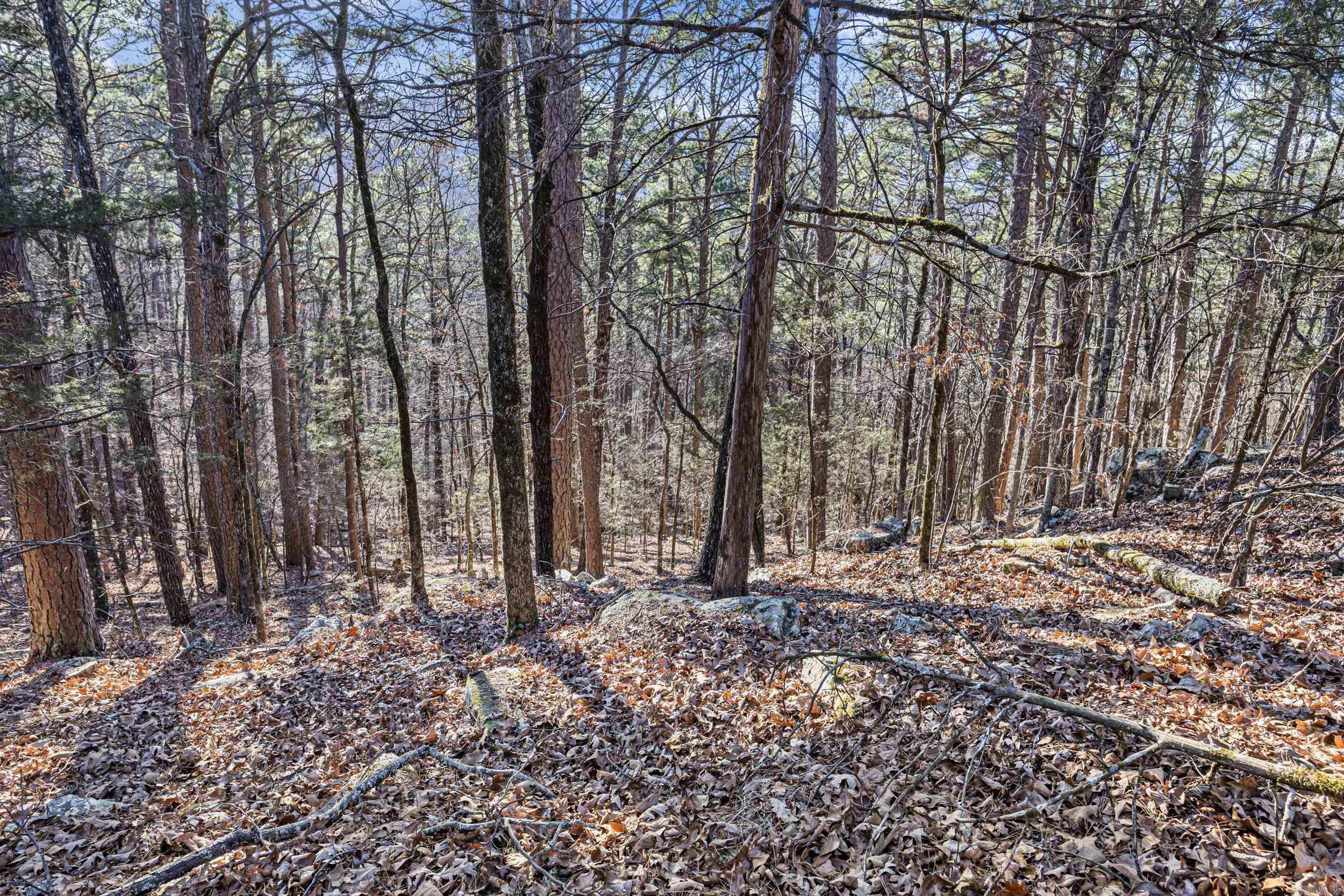 80 acres off of SR 164 W  Dover, AR