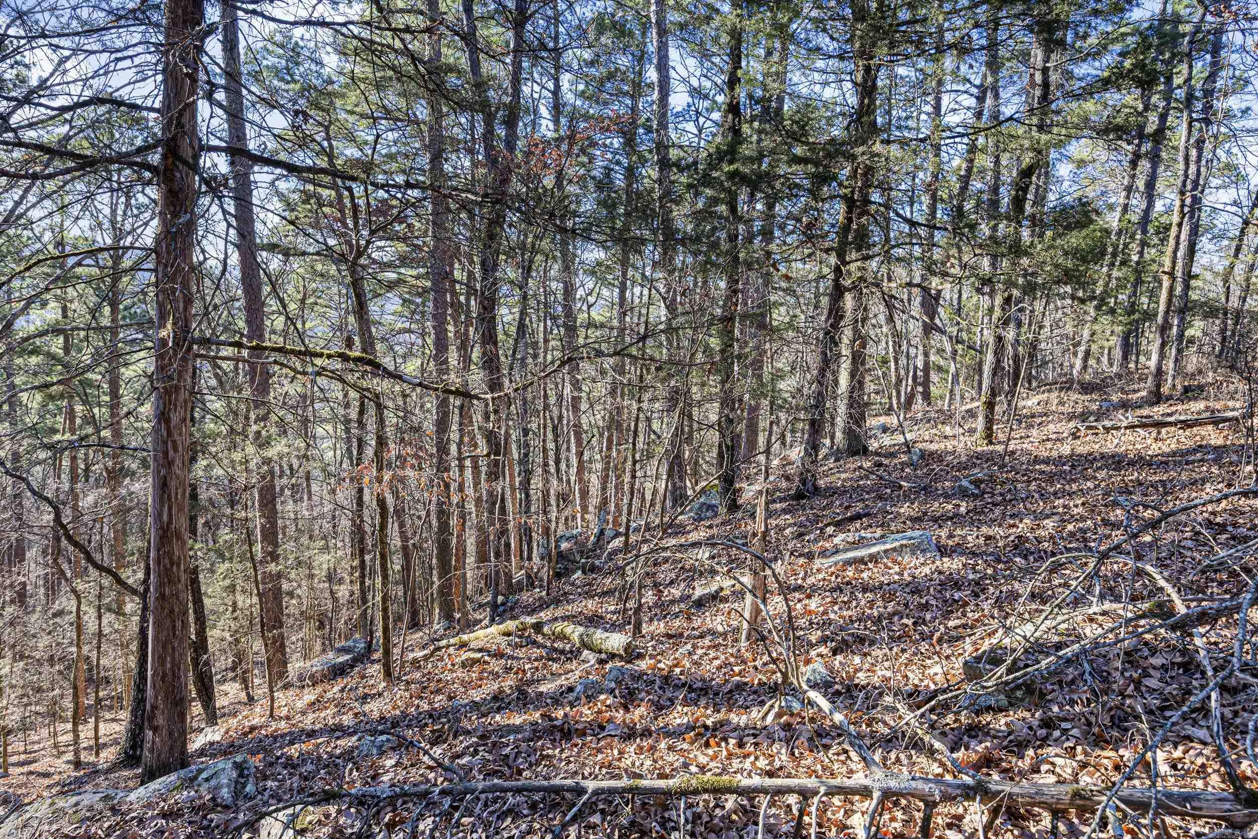 80 acres off of SR 164 W  Dover, AR