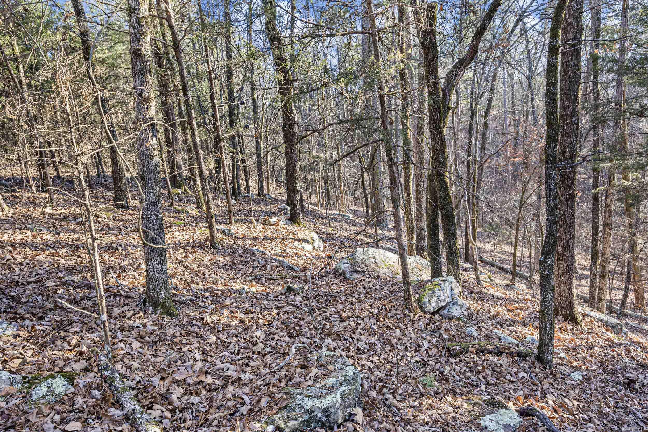 80 acres off of SR 164 W  Dover, AR