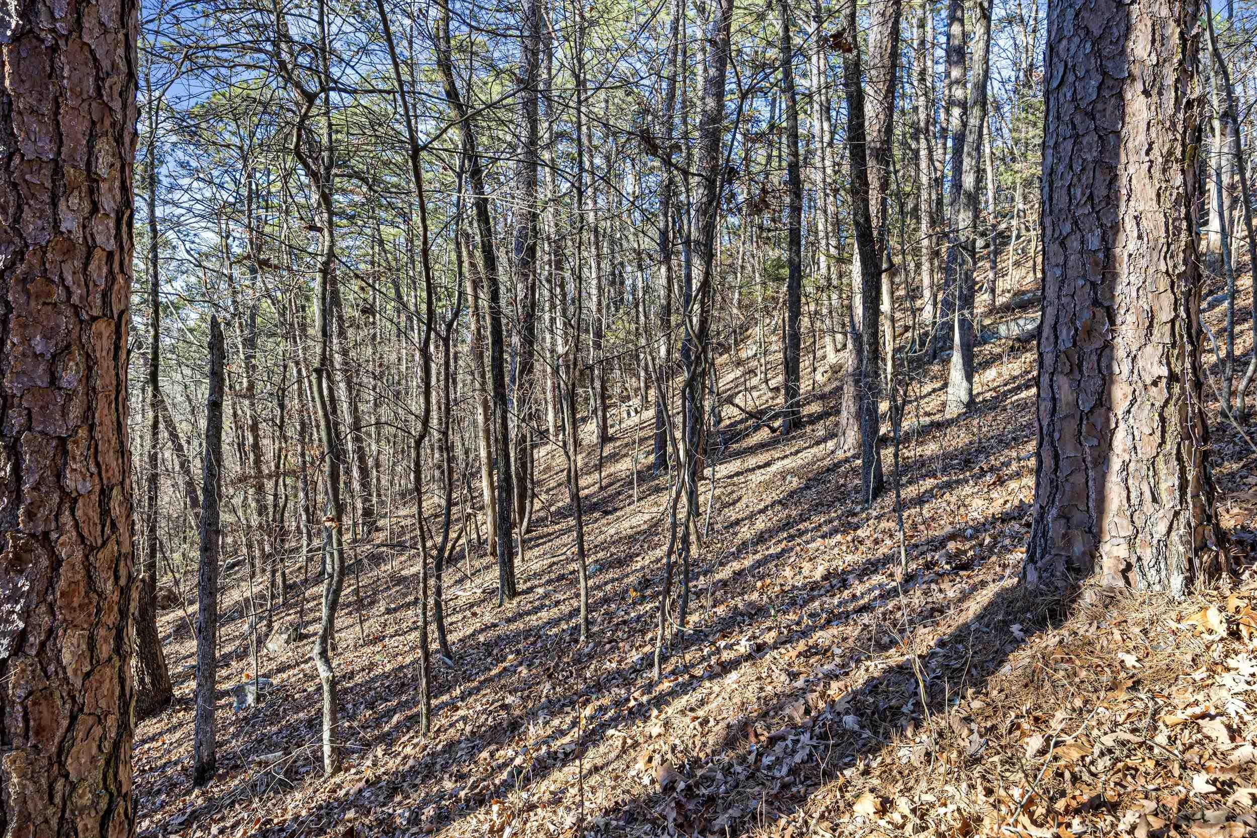 80 acres off of SR 164 W  Dover, AR