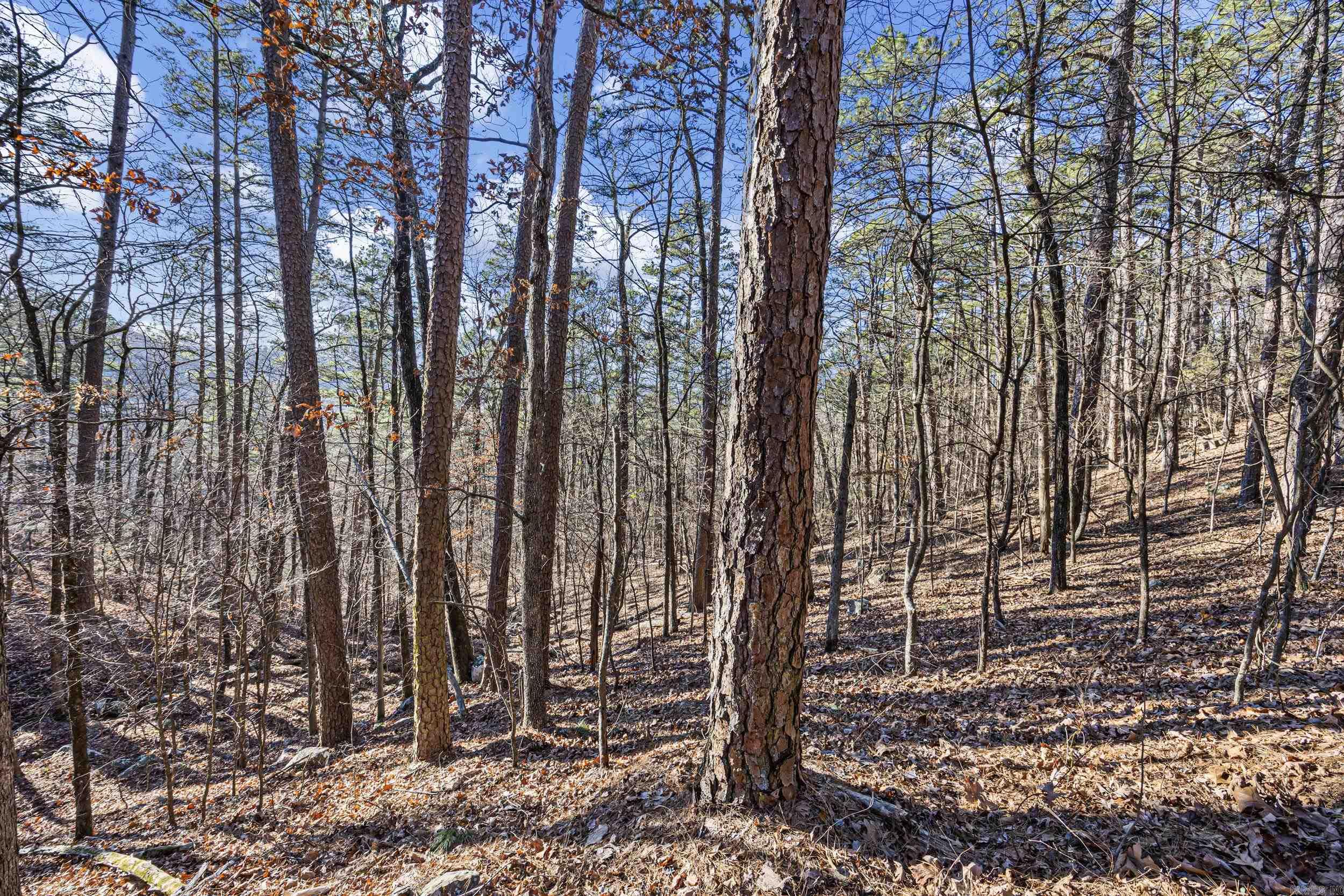 80 acres off of SR 164 W  Dover, AR