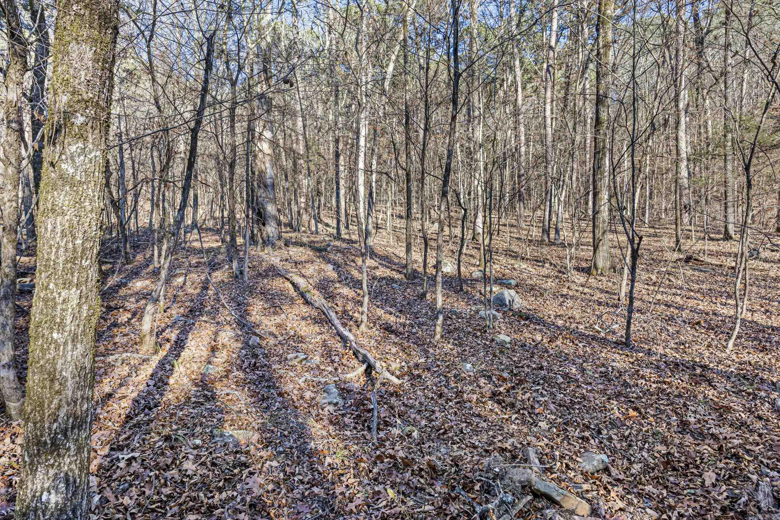 80 acres off of SR 164 W  Dover, AR