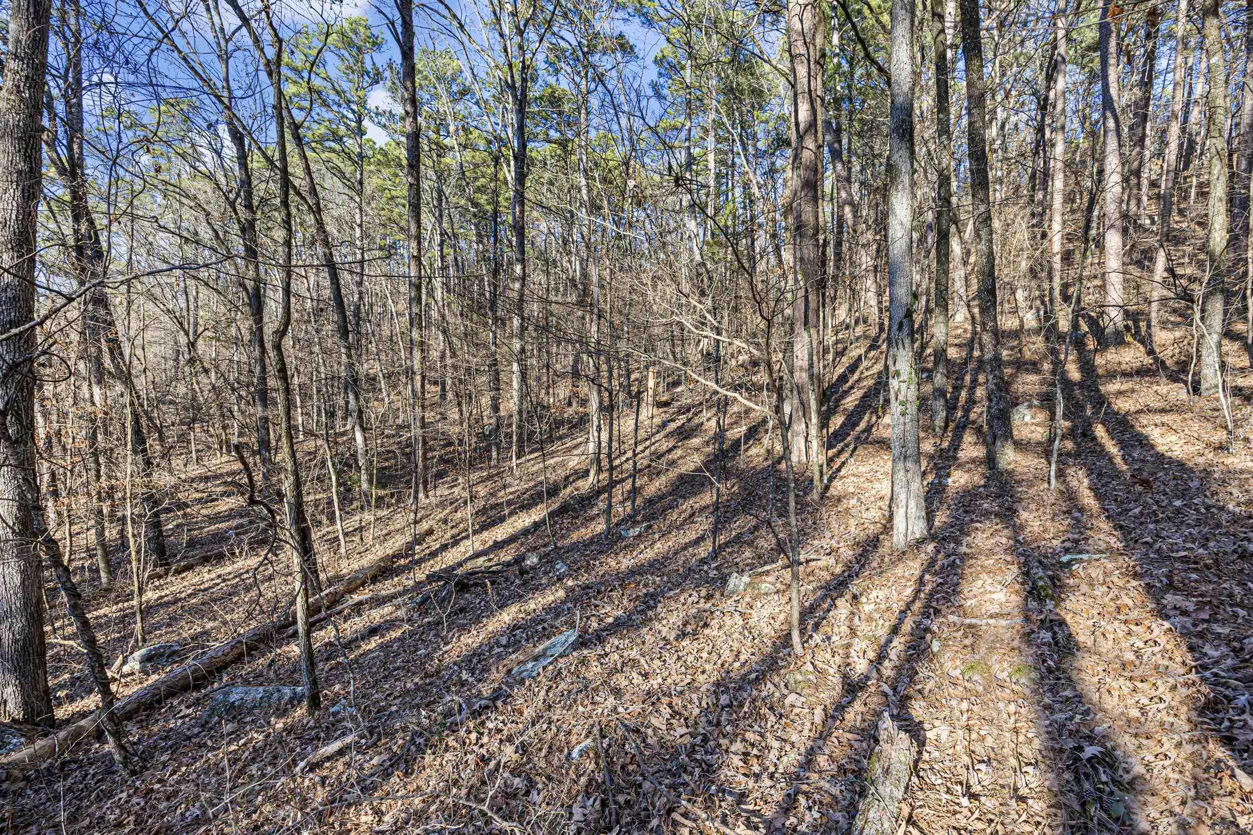 80 acres off of SR 164 W  Dover, AR