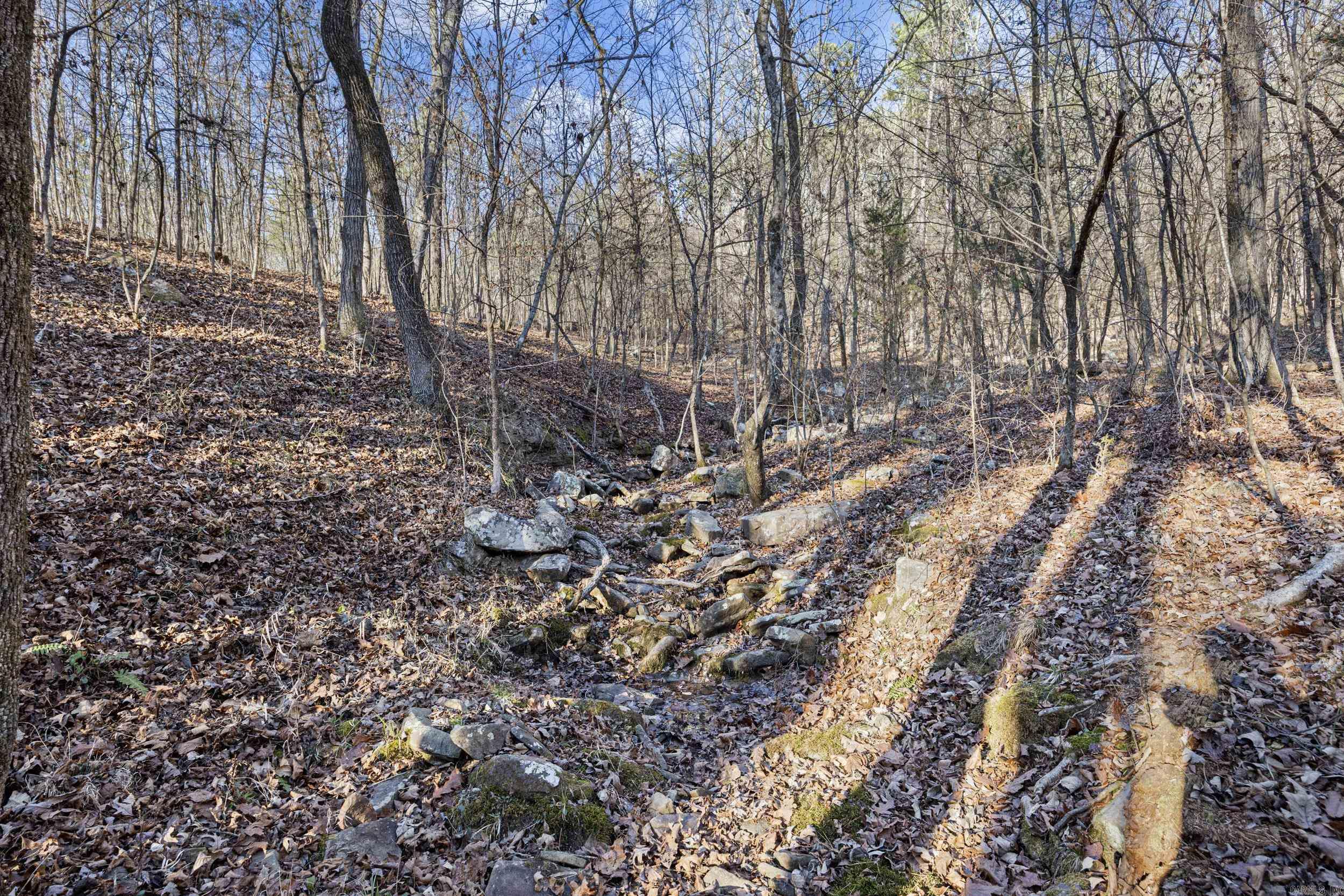 80 acres off of SR 164 W  Dover, AR