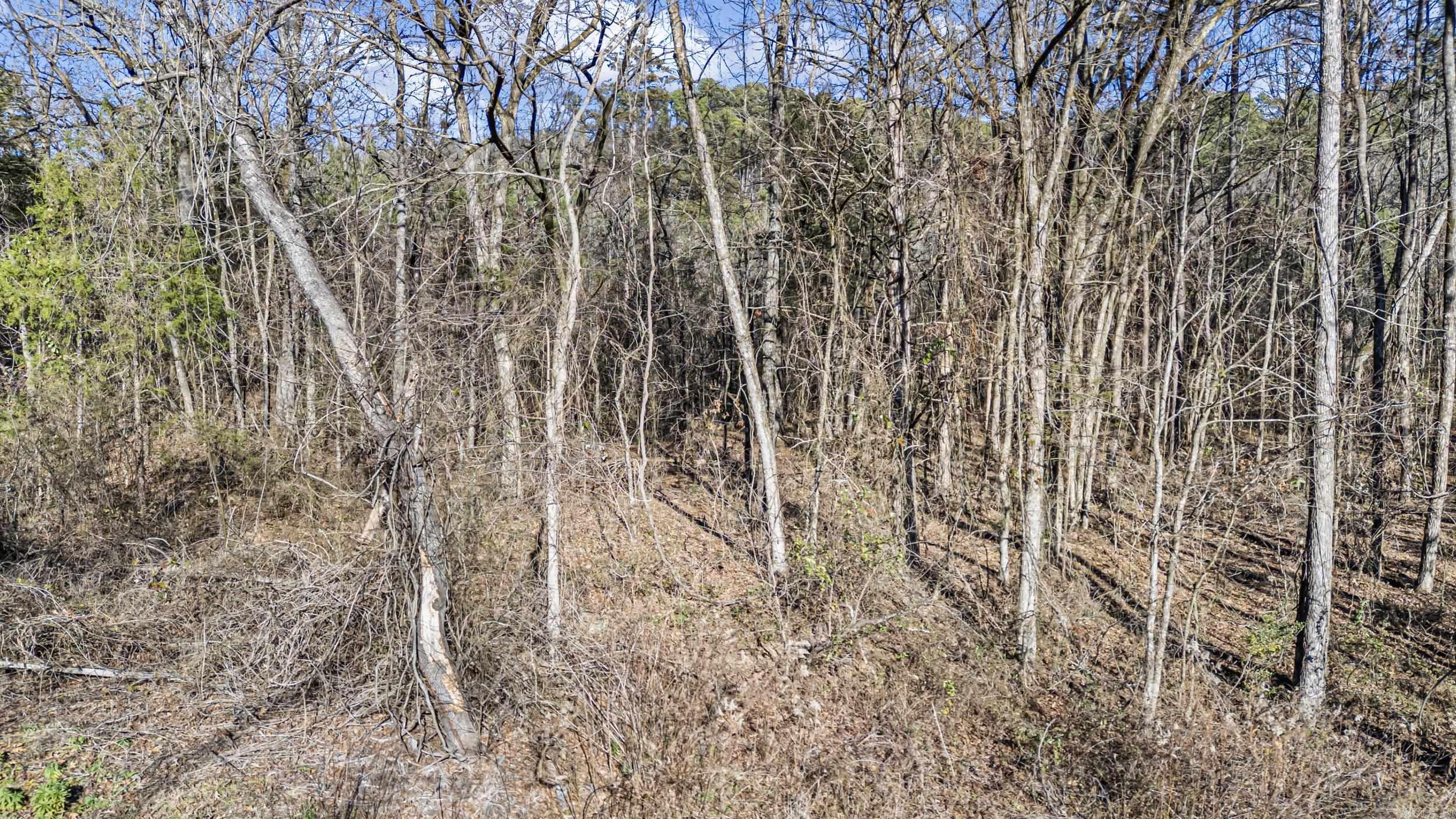 80 acres off of SR 164 W  Dover, AR