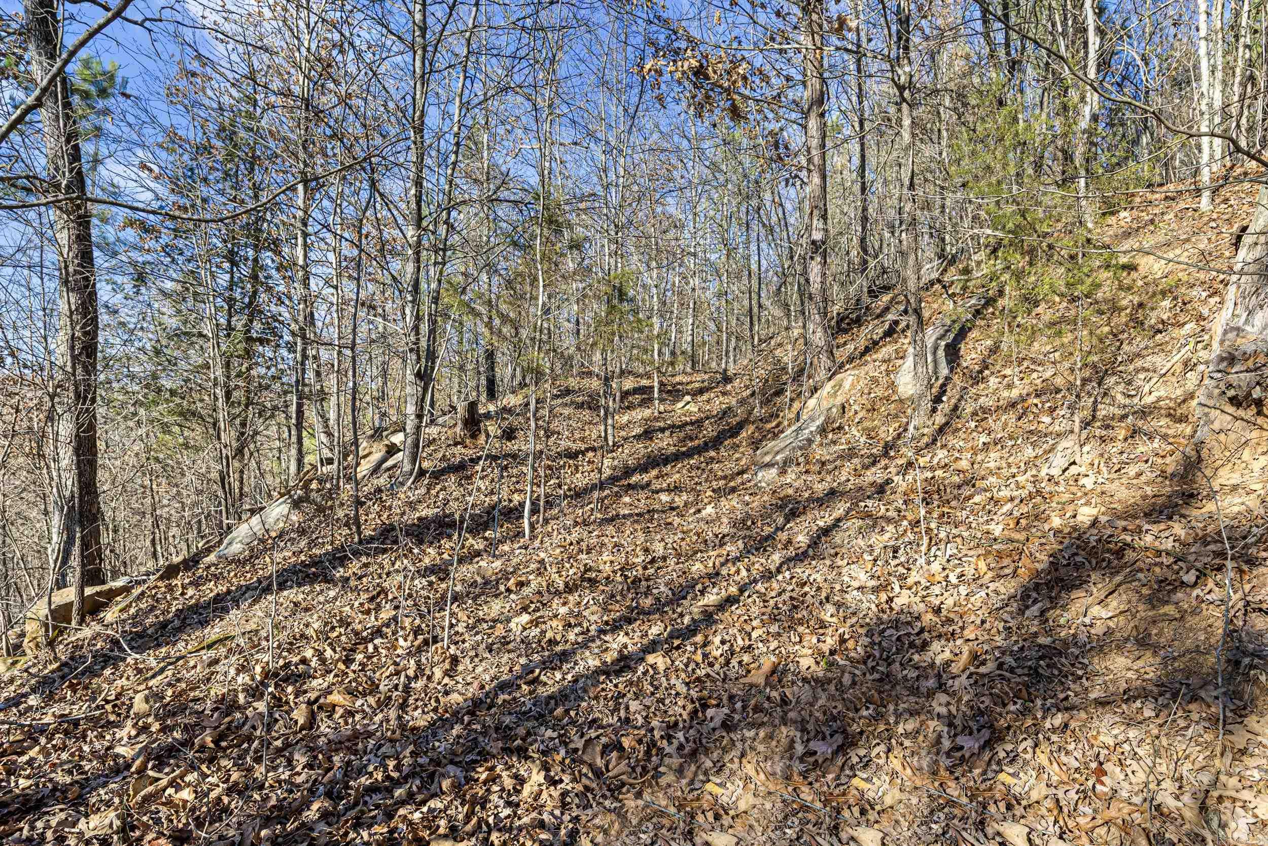 80 acres off of SR 164 W  Dover, AR